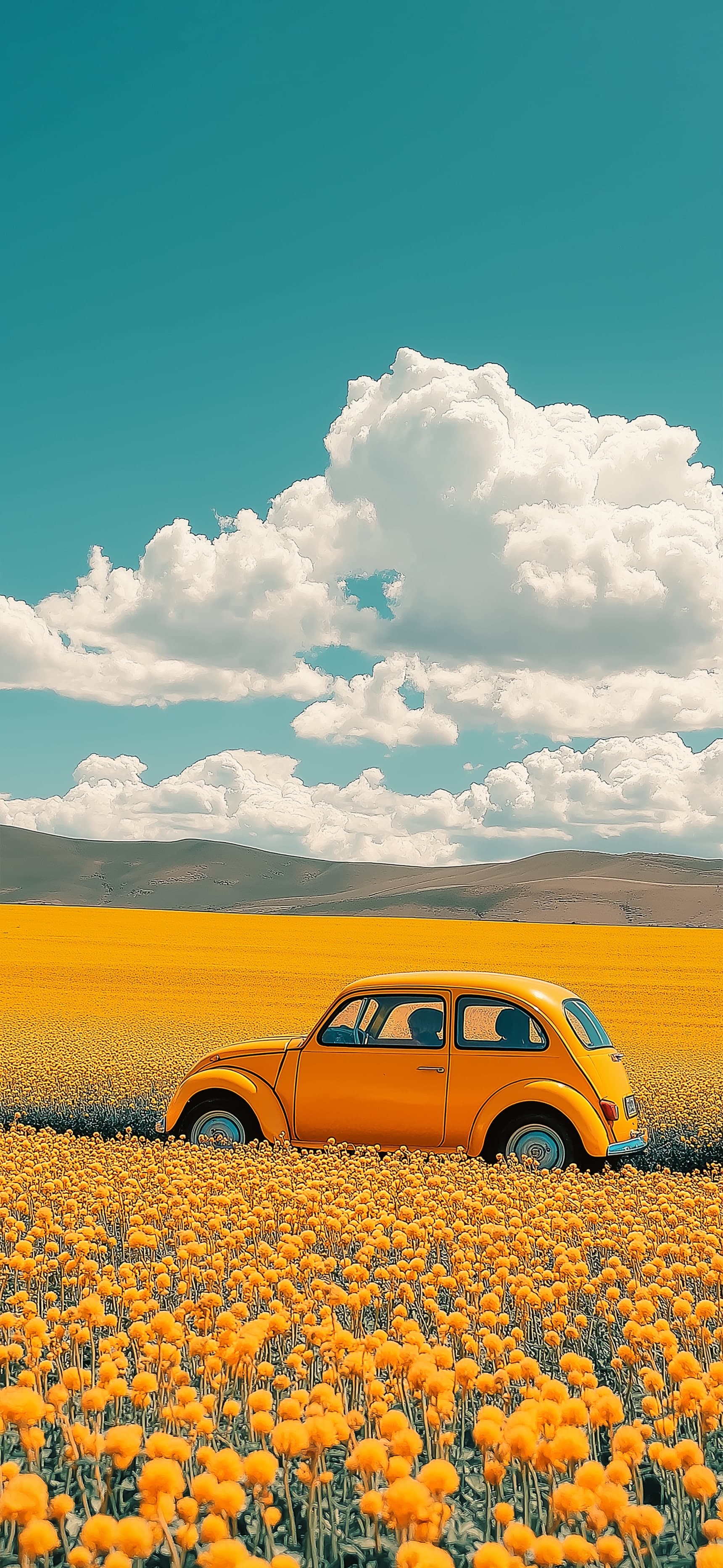 Bloom Ride - free phone wallpaper