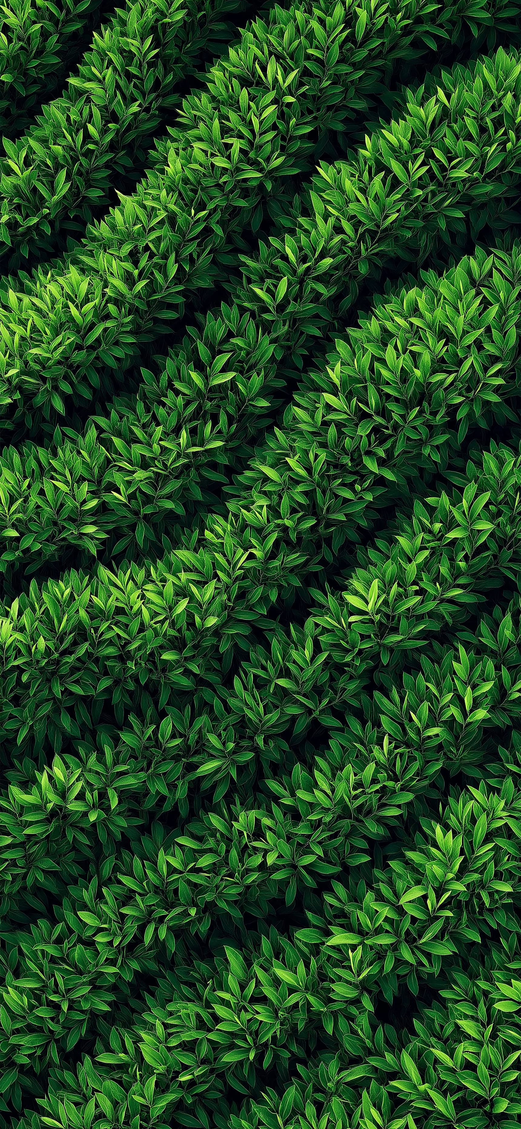 Emerald Maze - Pro phone wallpaper