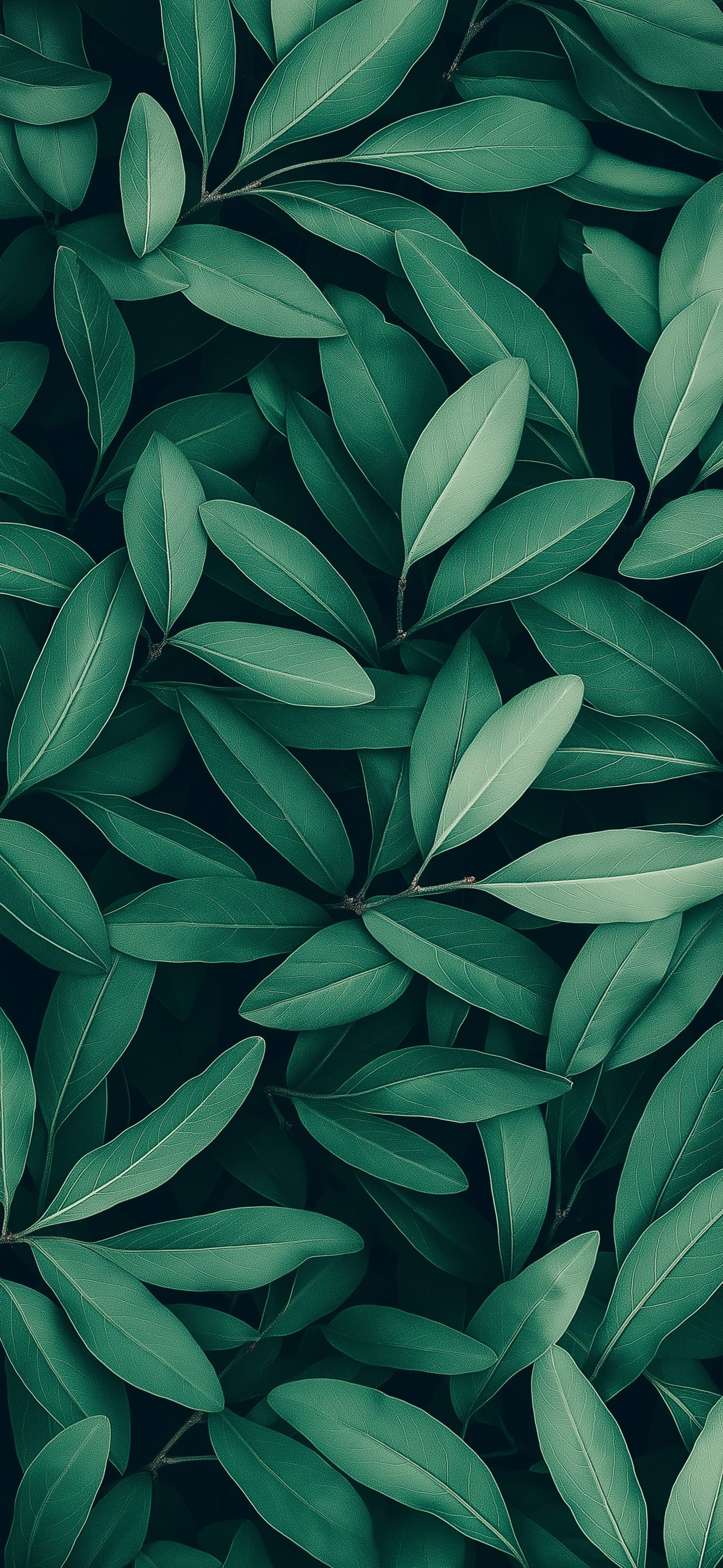 Jungle Texture - Pro phone wallpaper