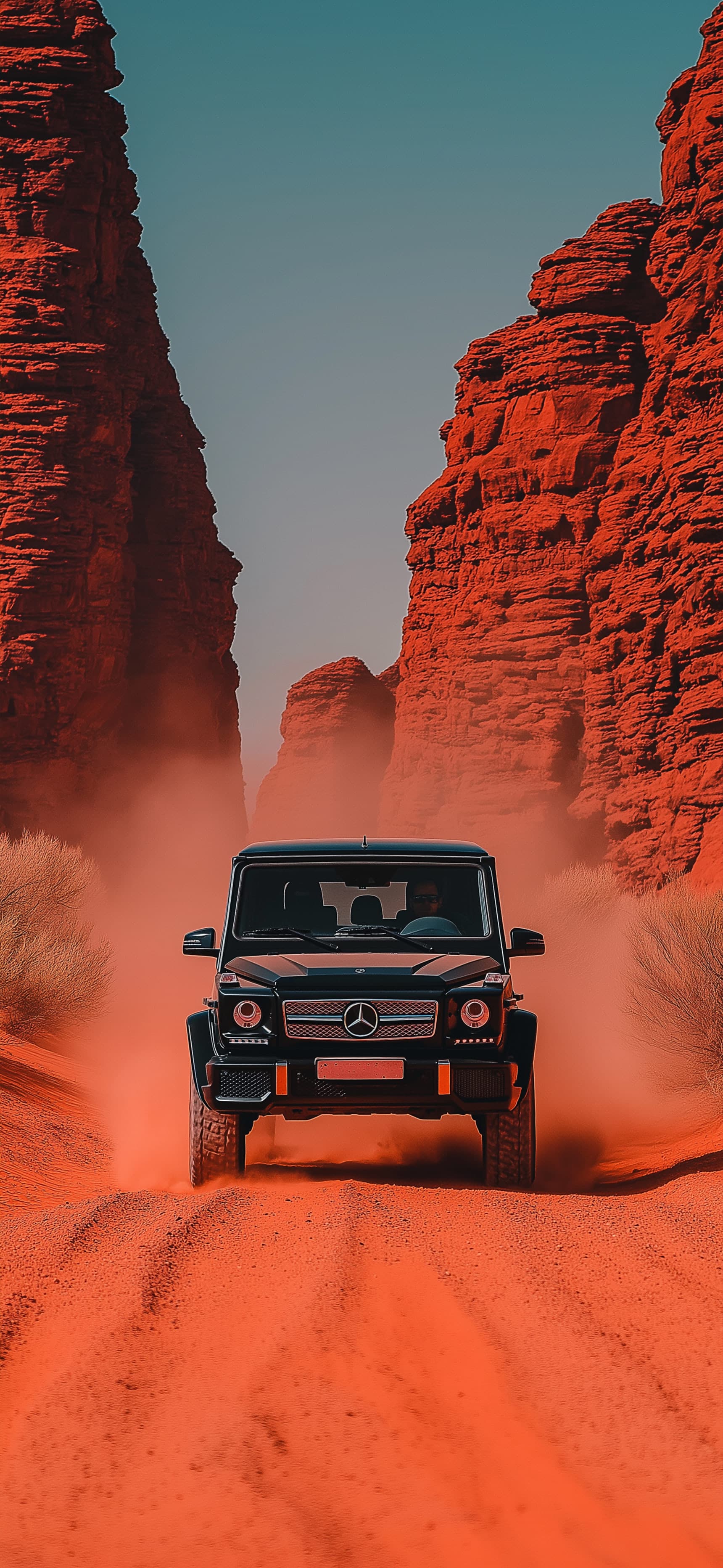 Canyon Ride - Pro phone wallpaper