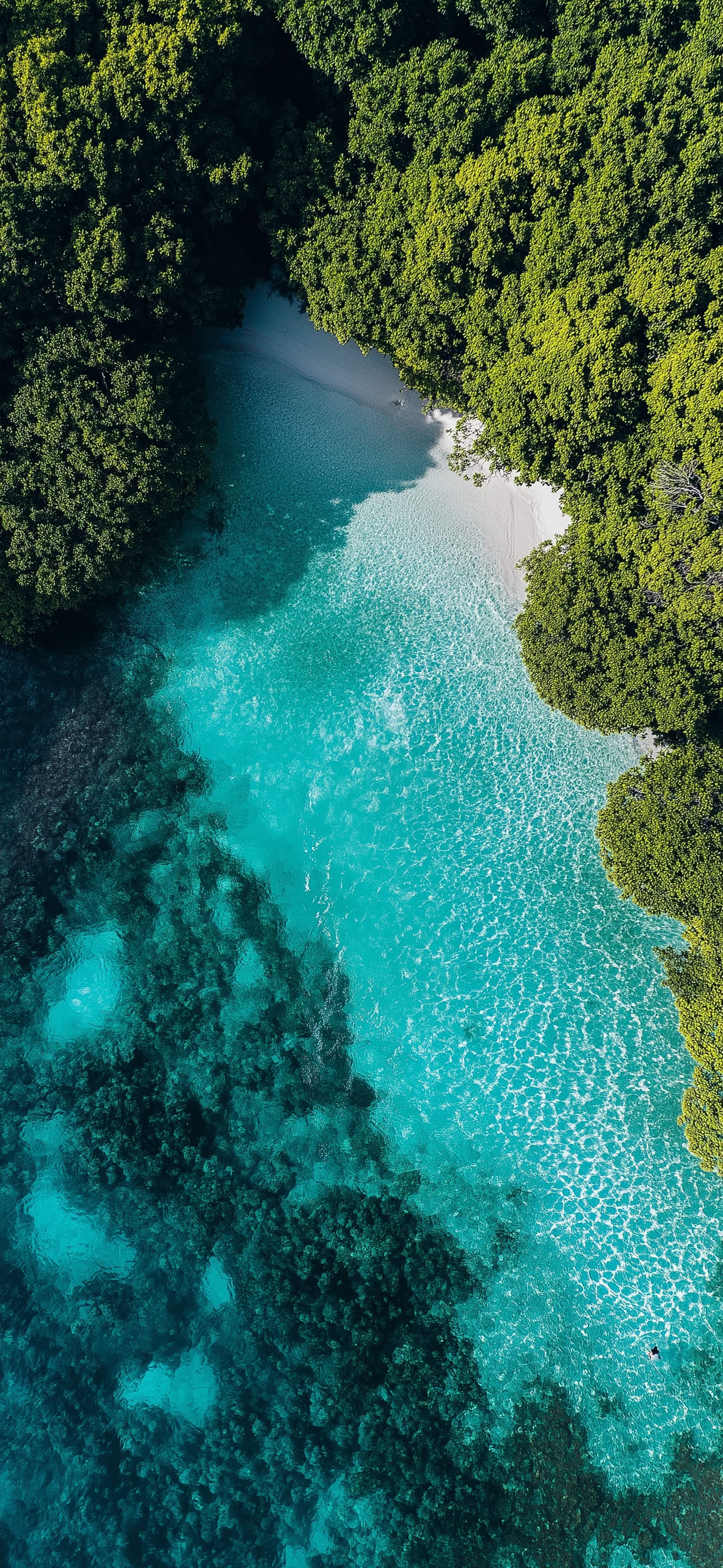 Aqua Nest - Pro phone wallpaper