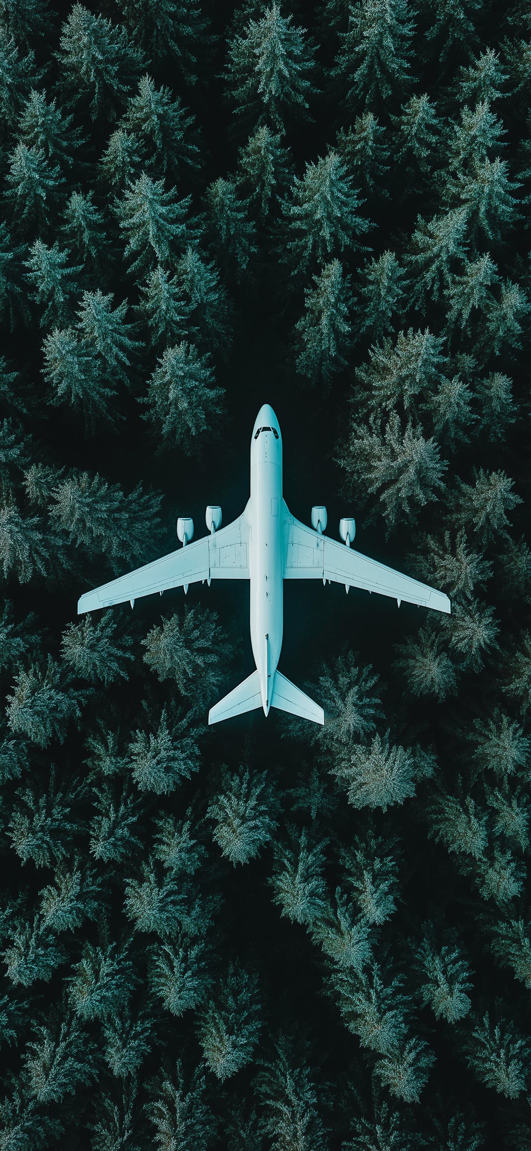 Pine Sky - Pro phone wallpaper