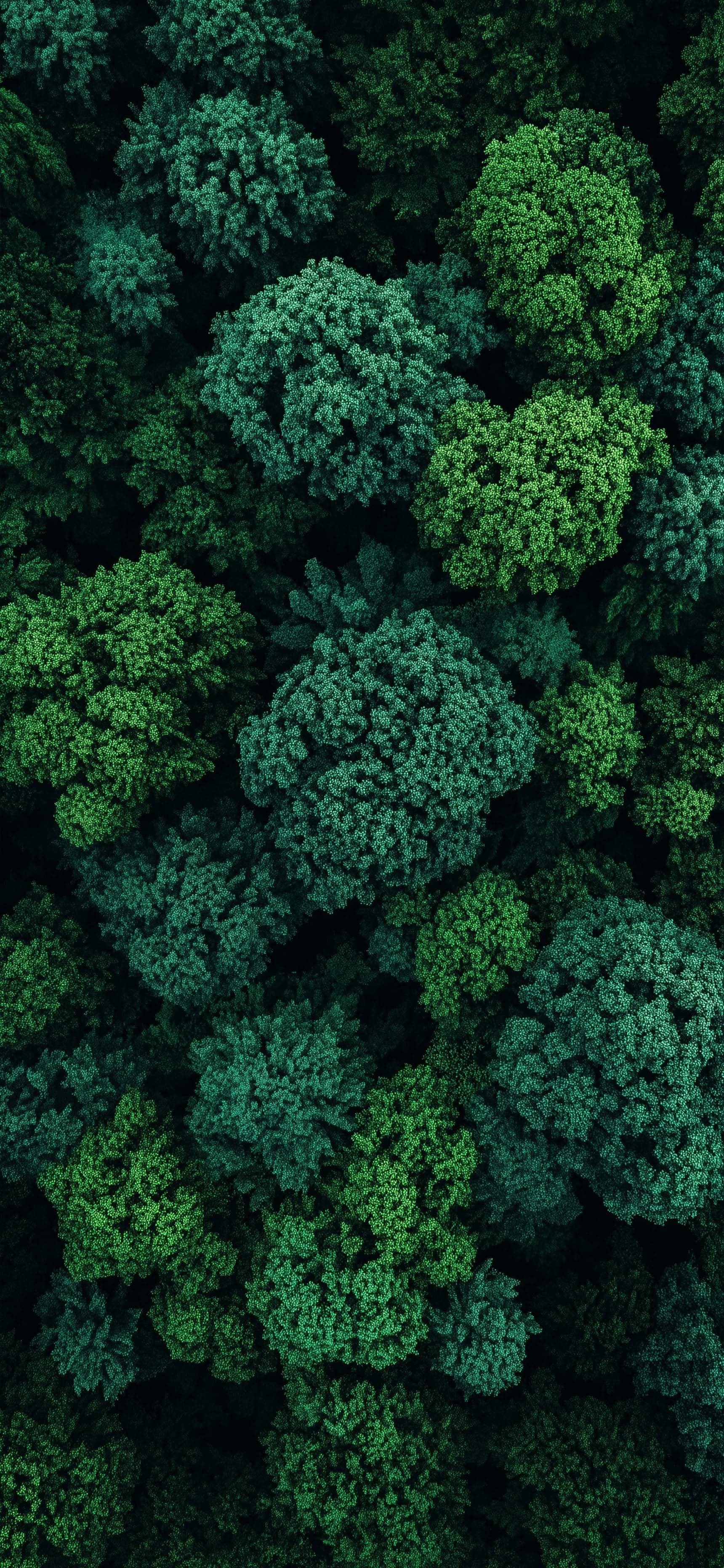 Emerald Forest - Pro phone wallpaper