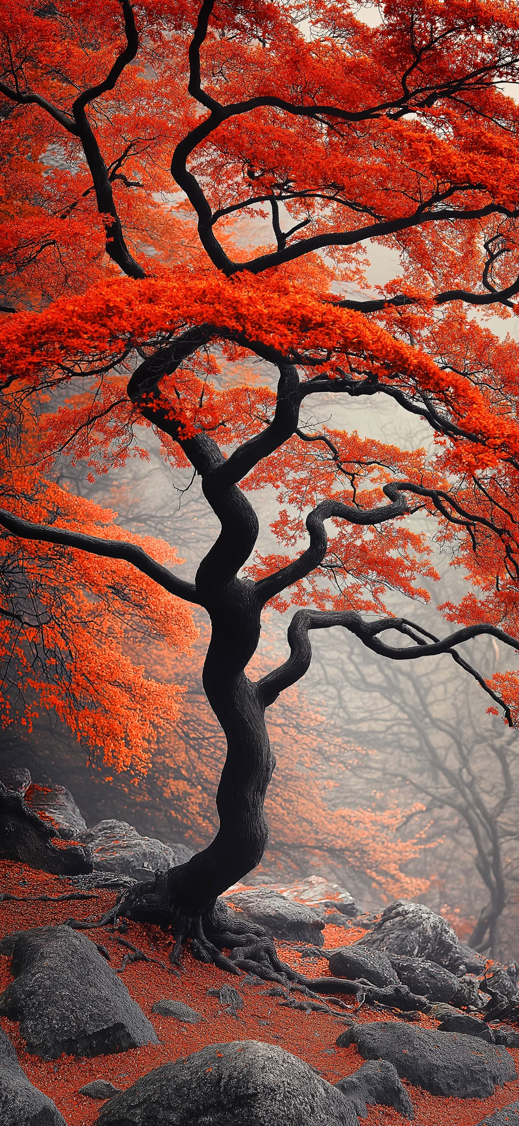 Scarlet Tree Path - Pro phone wallpaper