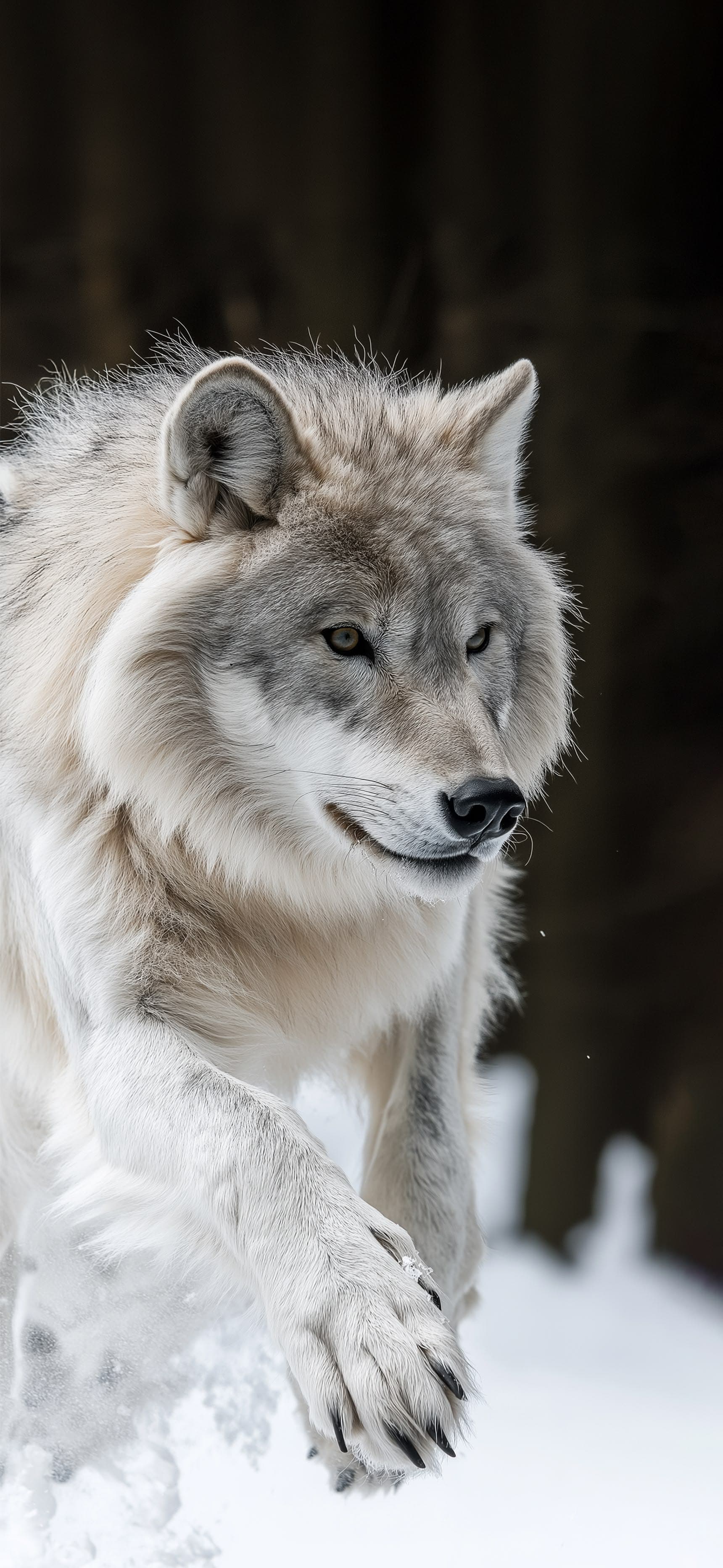 Snow Wolf Leap - Pro phone wallpaper
