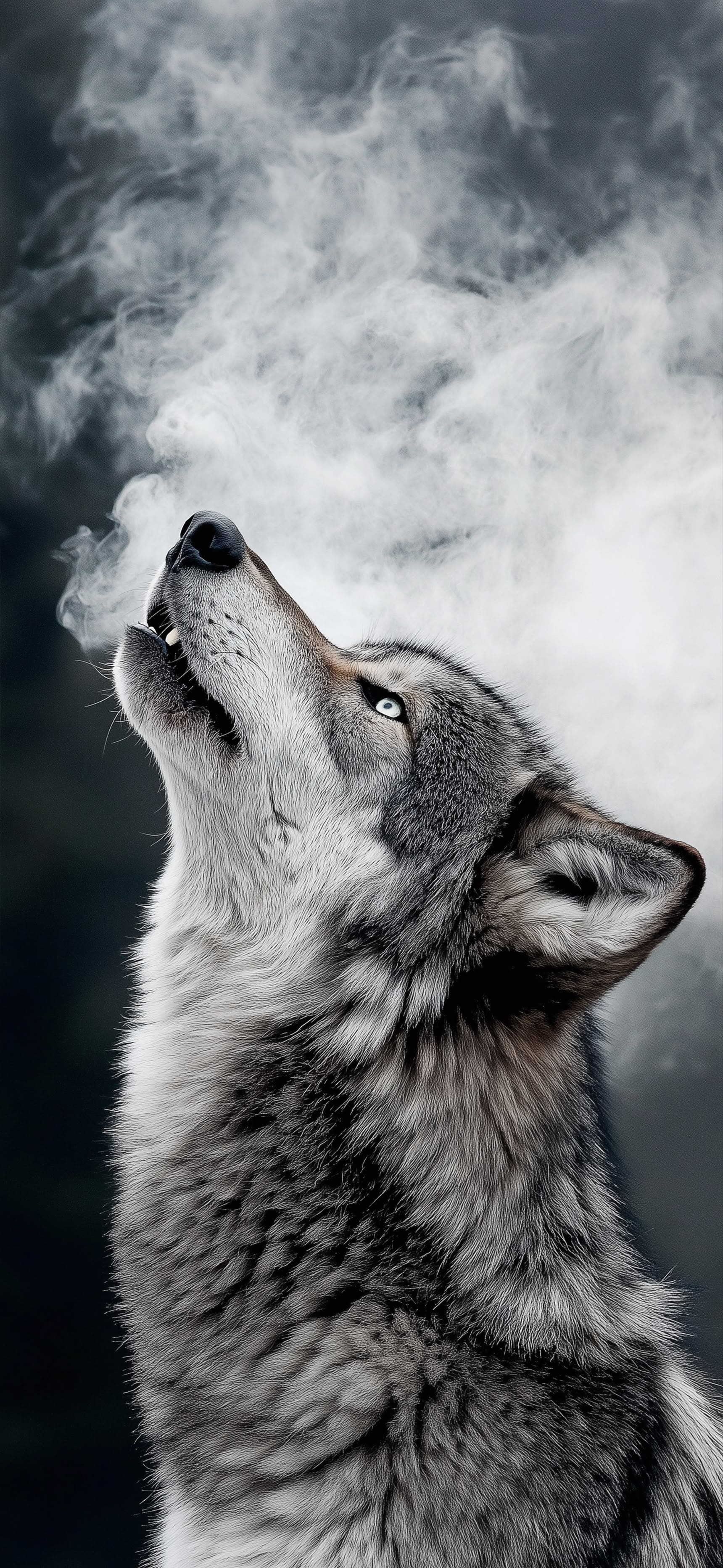 Smoke Howl - Pro phone wallpaper