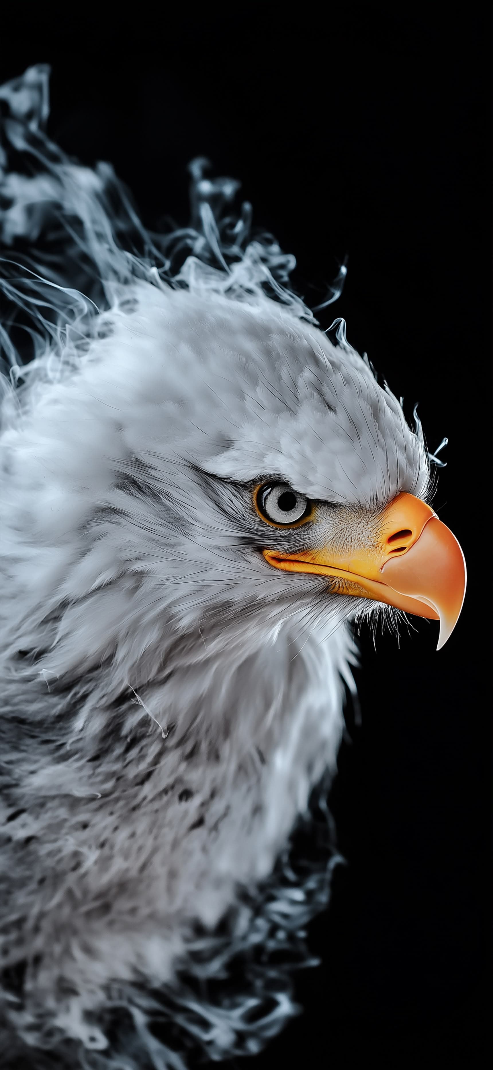 Fierce Gaze - Pro phone wallpaper