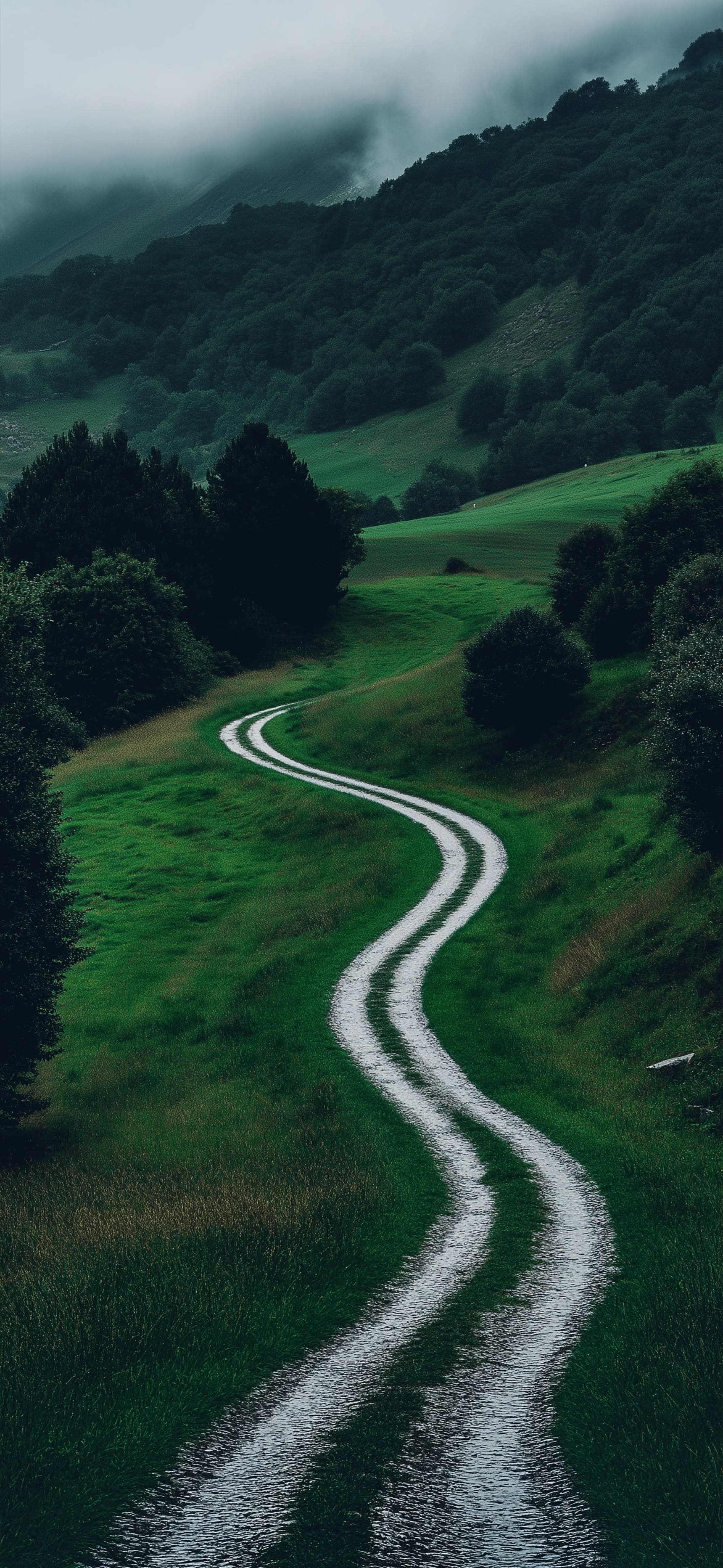 Winding Hills - Pro phone wallpaper
