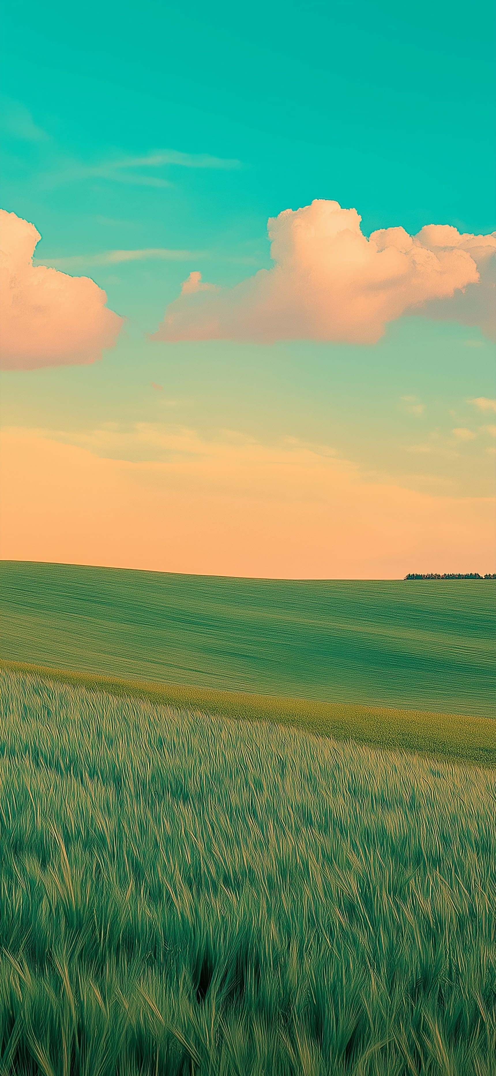 Golden Pasture - Pro phone wallpaper