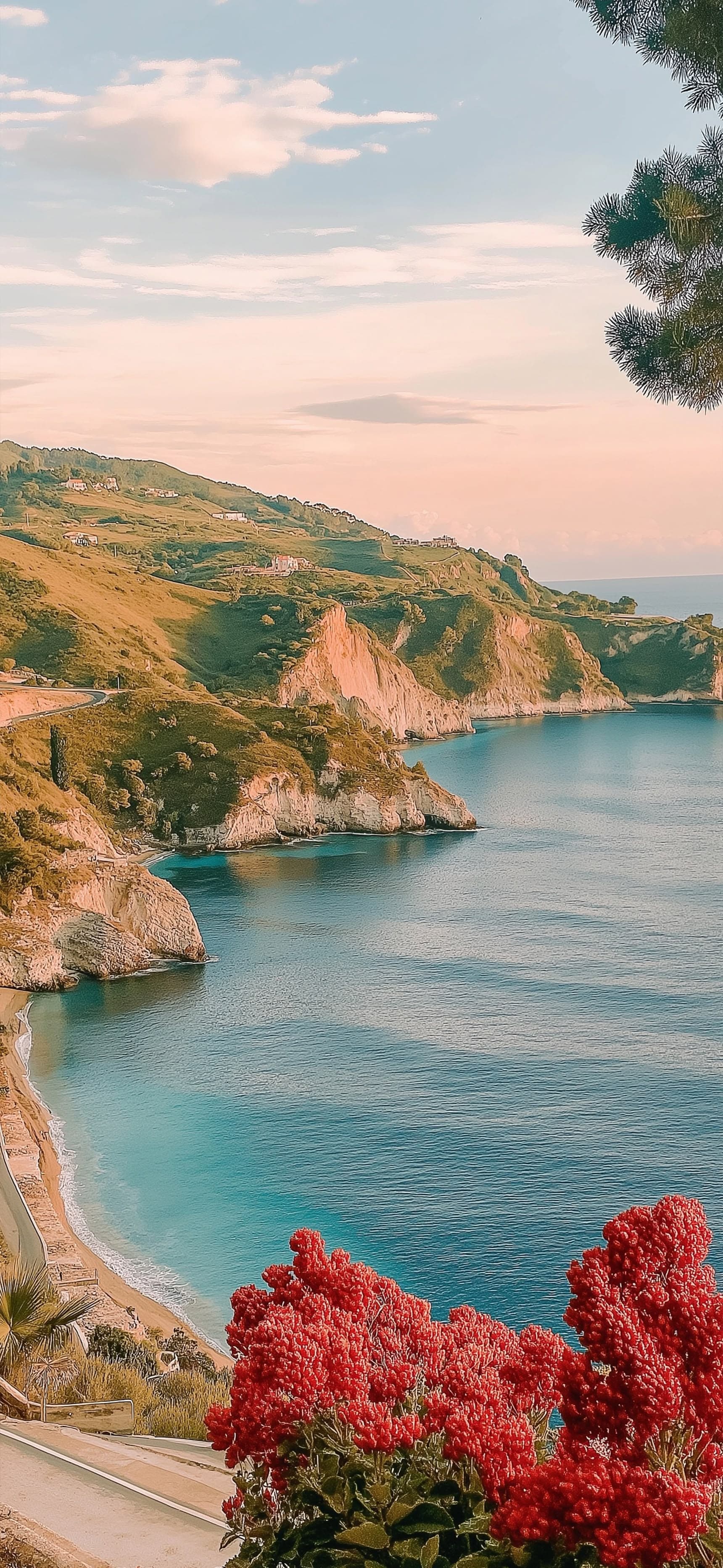 Coast Bloom - Pro phone wallpaper