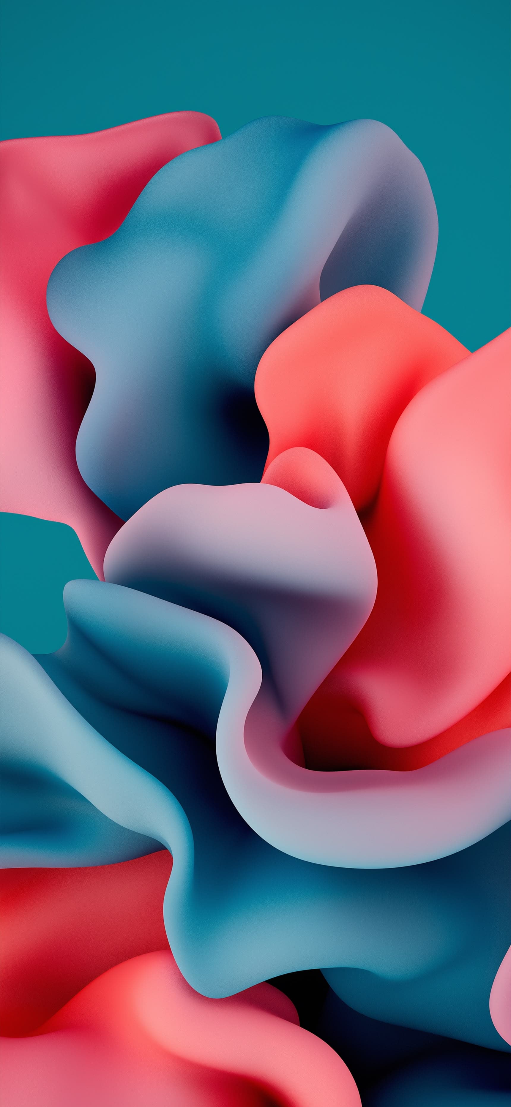 Velvet Bloom - Pro phone wallpaper