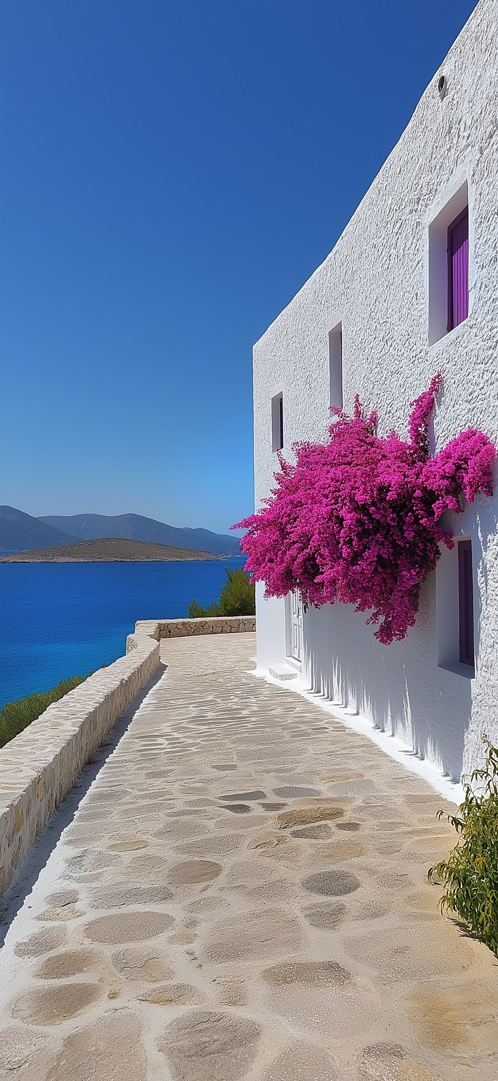 Bougainvillea by the Sea - Pro phone wallpaper