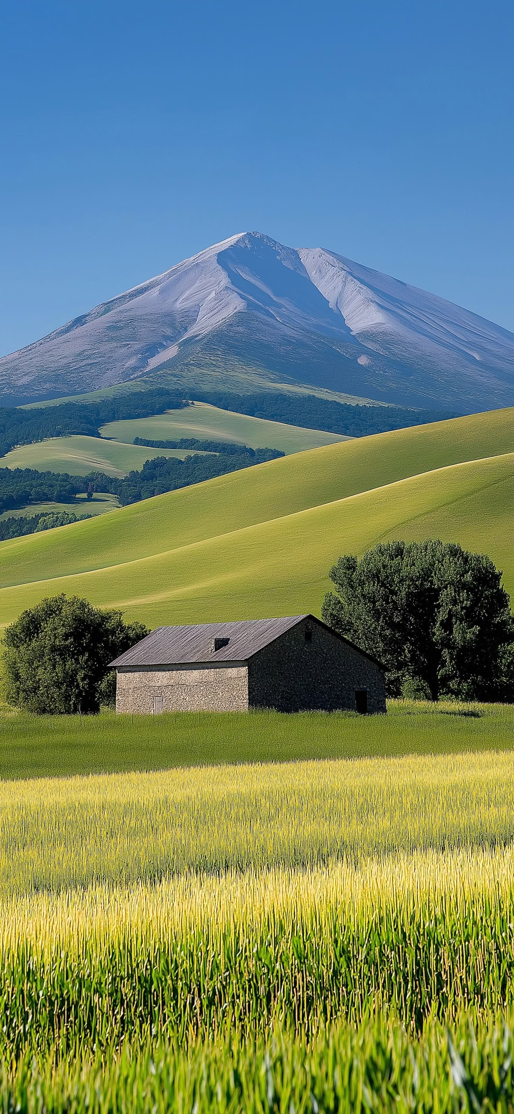 Barn Beneath the Mountain - Pro phone wallpaper
