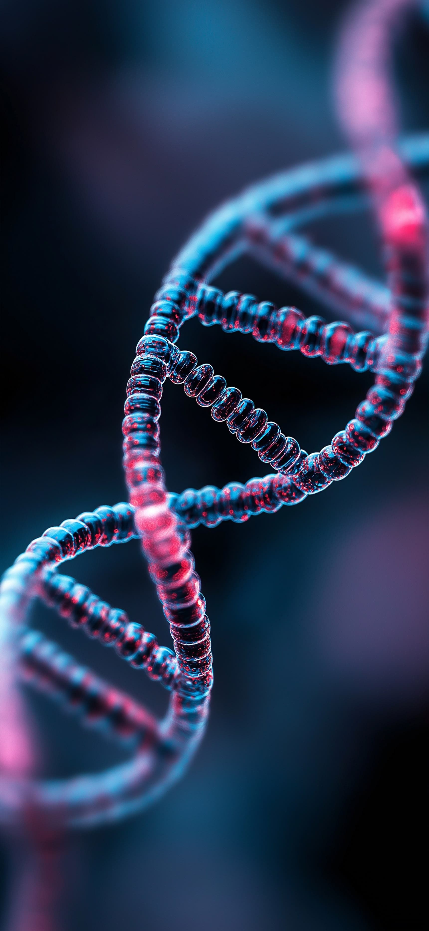 DNA Double Helix - Pro phone wallpaper