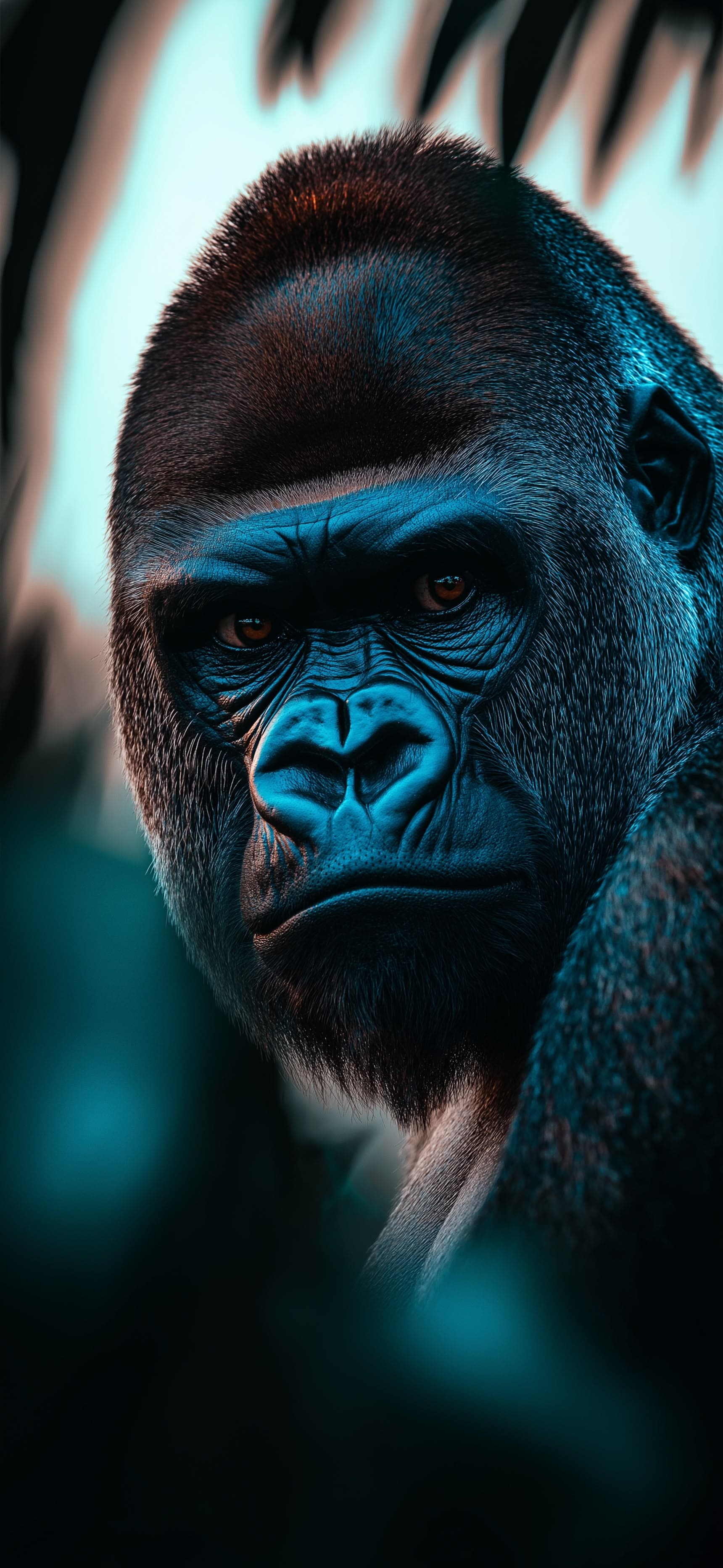 Intimate Gorilla Portrait - Pro phone wallpaper