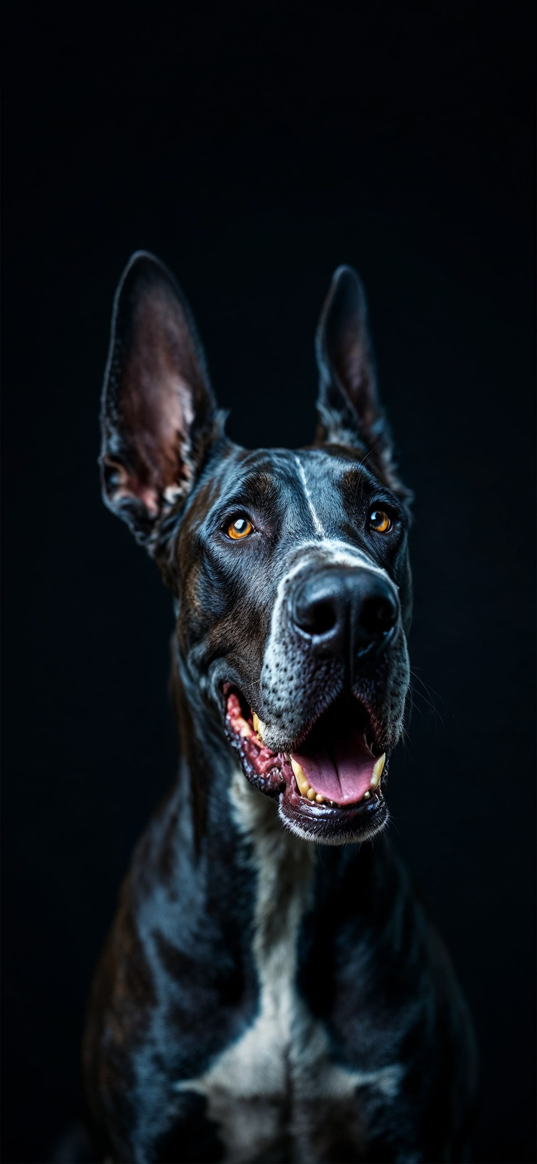Majestic Dog Portrait - Pro phone wallpaper
