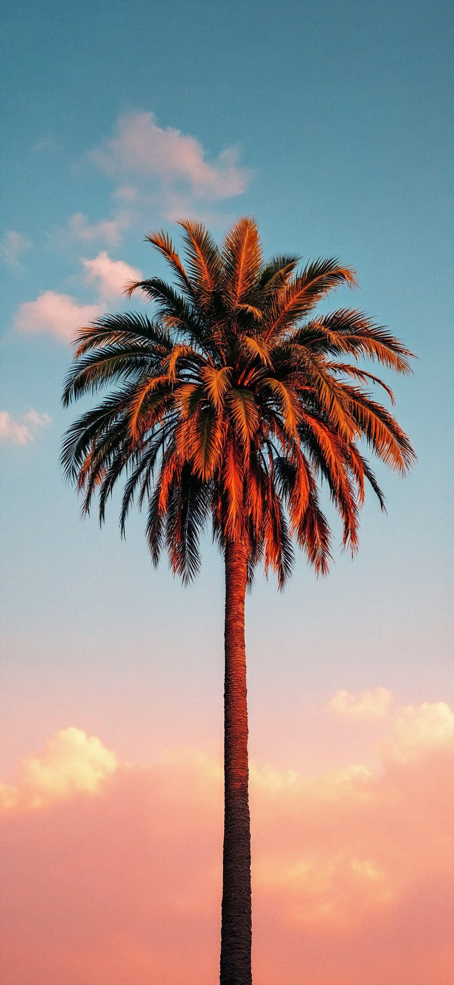 Golden Palm Serenity - Pro phone wallpaper