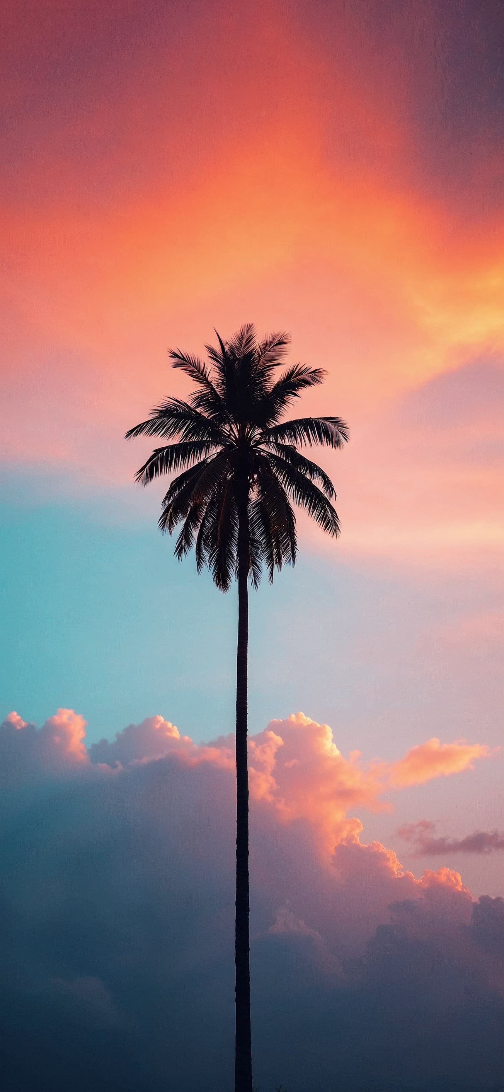 Palm Cloudscape Dream - Pro phone wallpaper