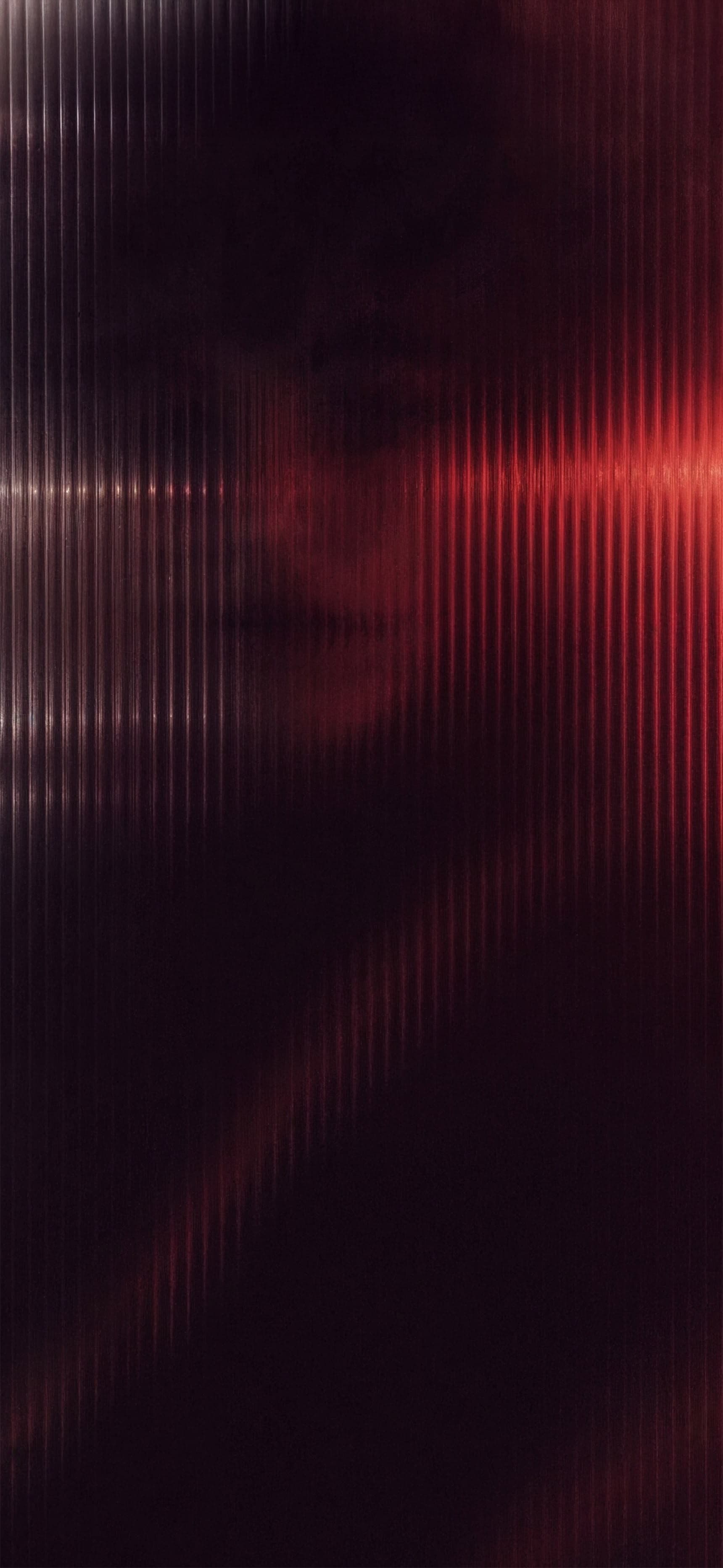Jungle Panther Stare - Pro phone wallpaper