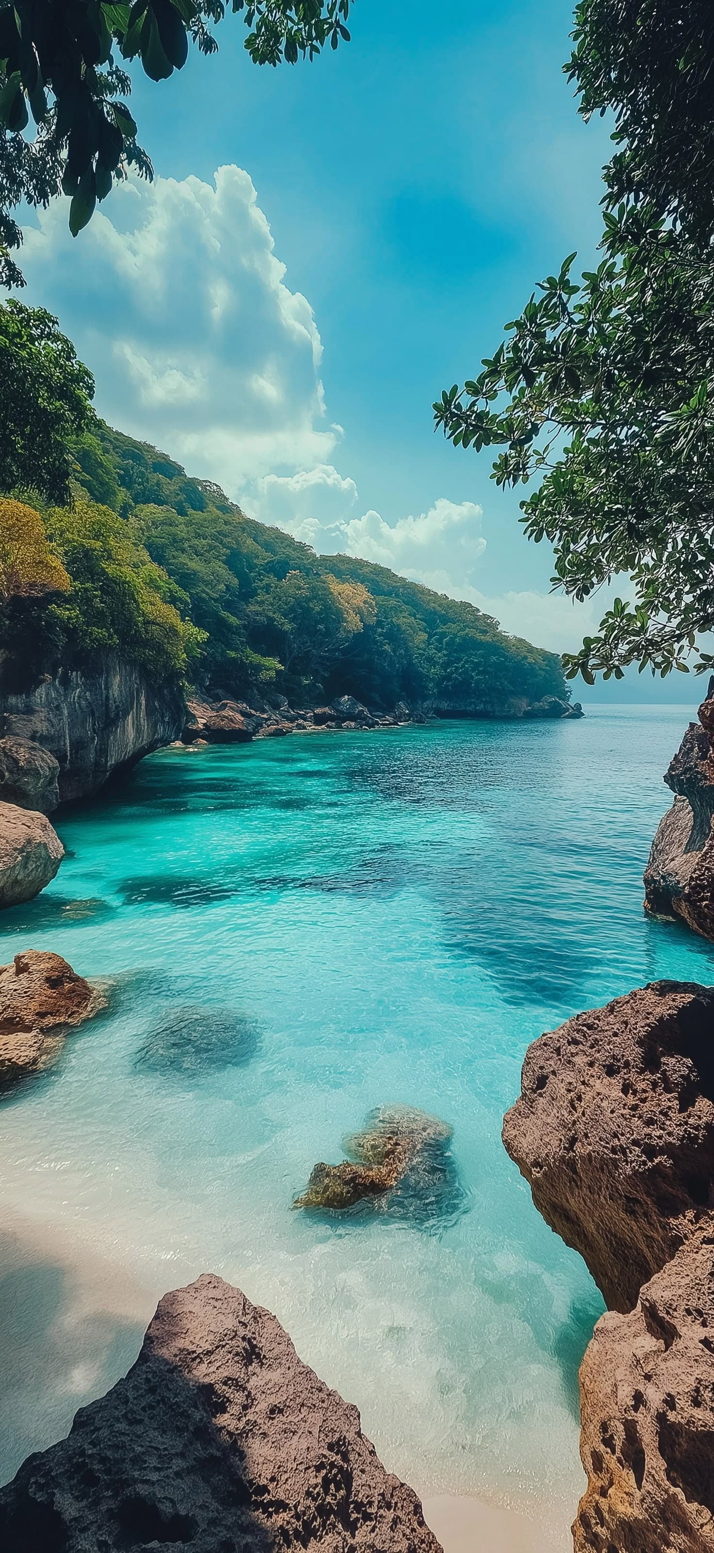 Tropical Beach Paradise - Pro phone wallpaper