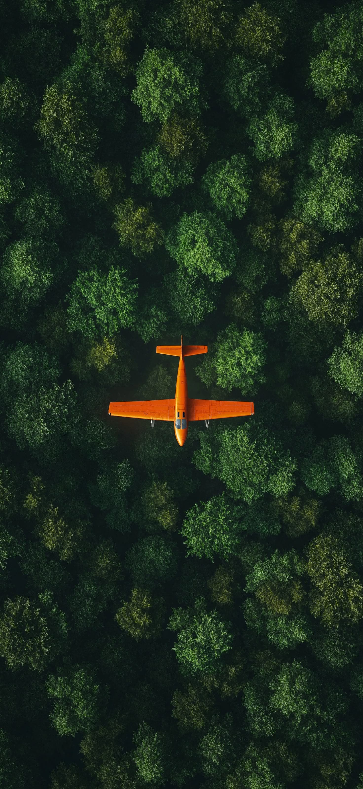 Orange Plane Forest - Pro phone wallpaper