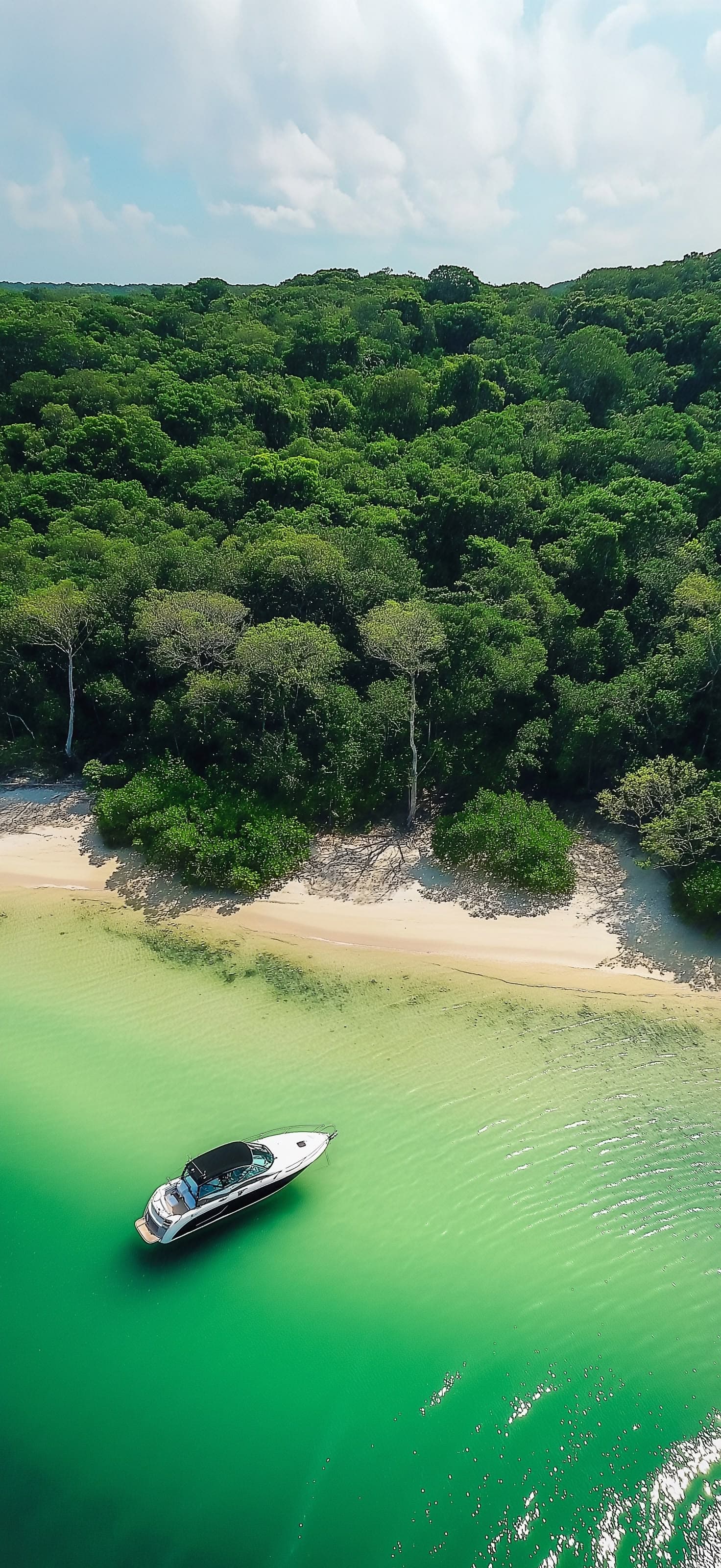 Tropical Boat Paradise - Pro phone wallpaper