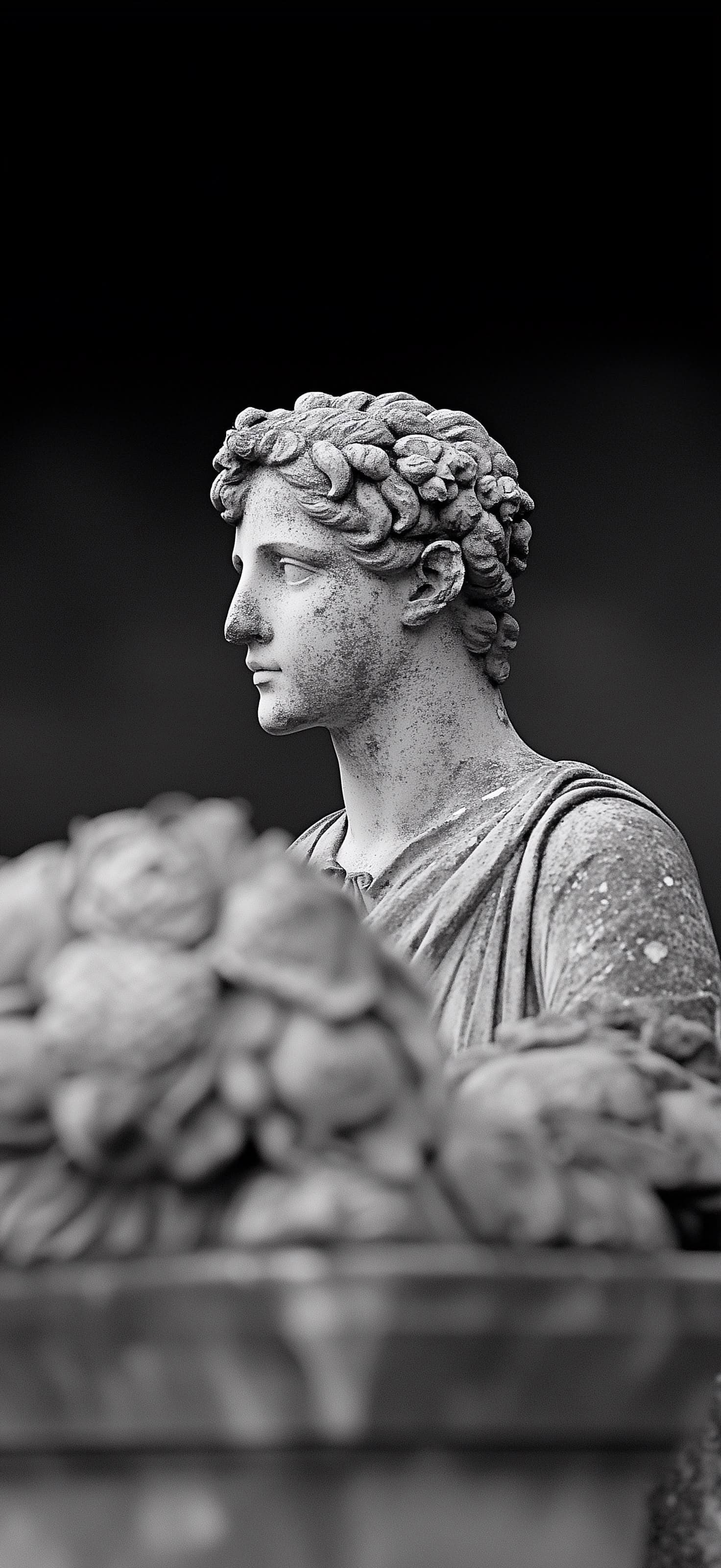 Ancient Bust Profile - Pro phone wallpaper