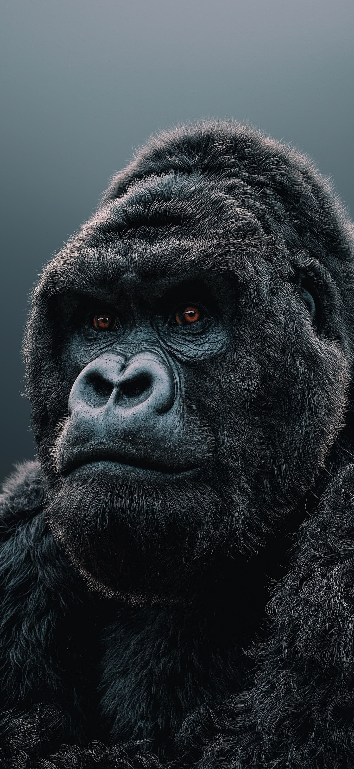 Majestic Gorilla - Pro phone wallpaper