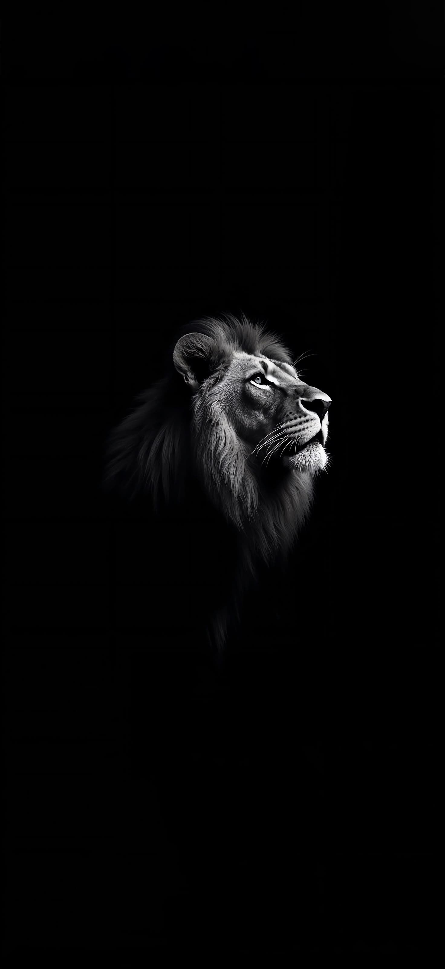 Majestic Lion - Pro phone wallpaper