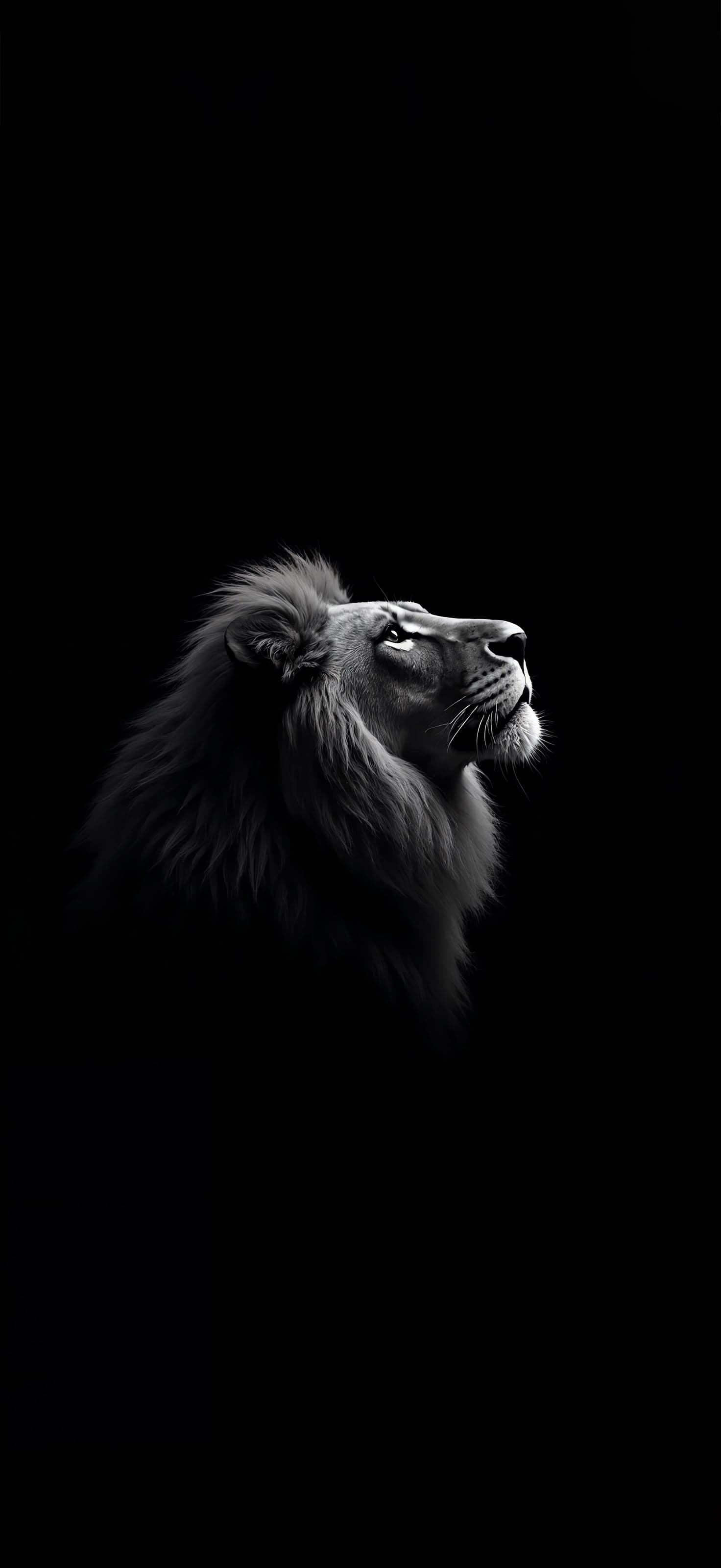 Regal Lion - Pro phone wallpaper