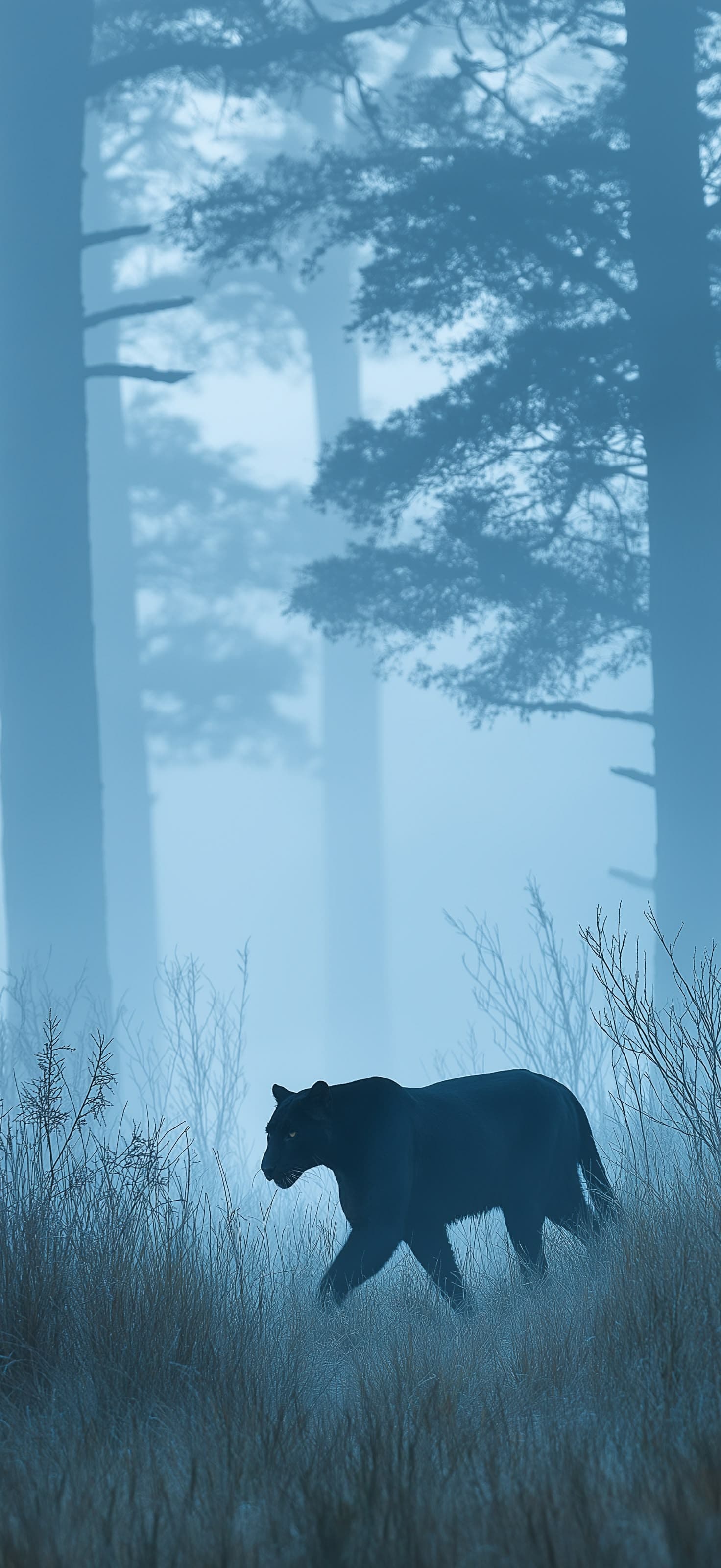 Misty Panther - Pro phone wallpaper