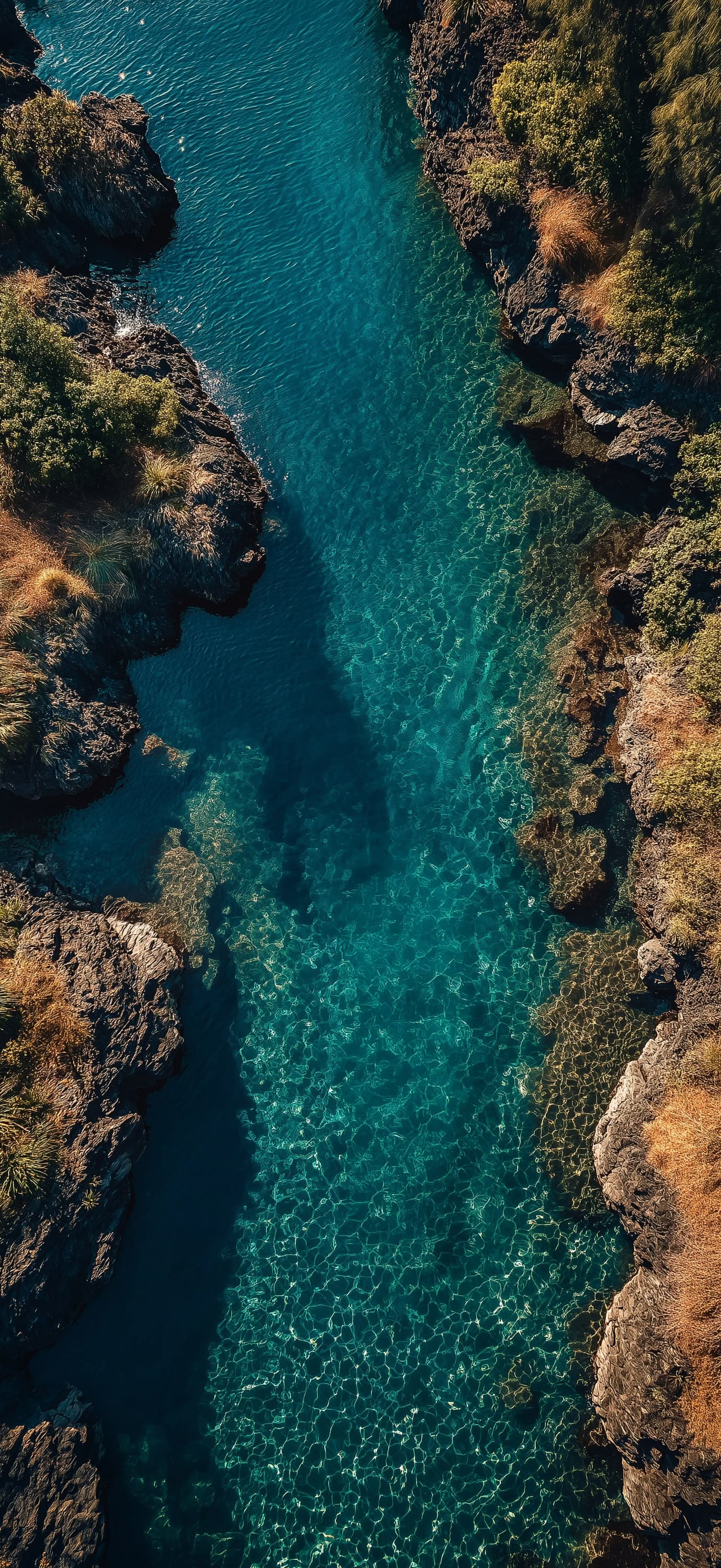 Clear Waterway - Pro phone wallpaper