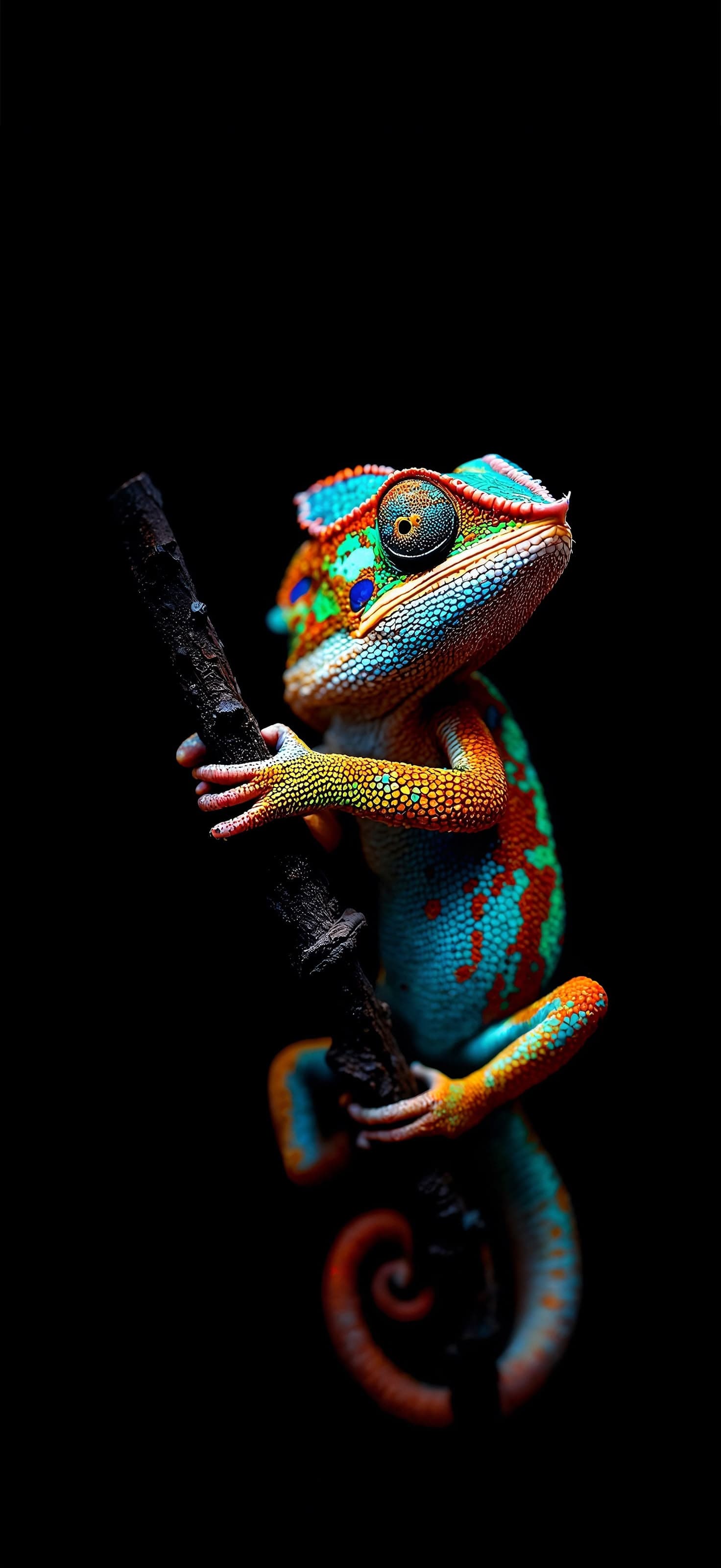 Chameleon Portrait - Pro phone wallpaper