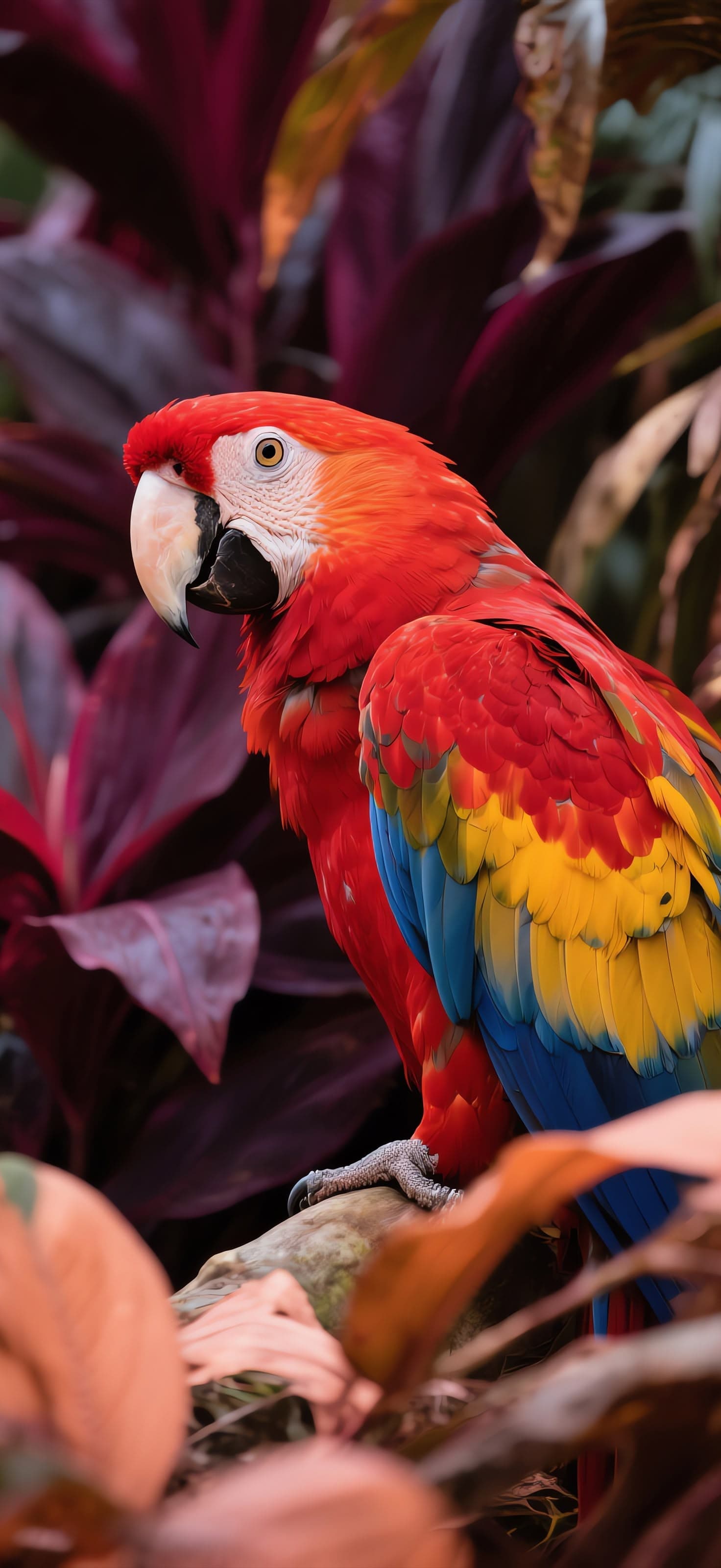 Vibrant Parrot - Pro phone wallpaper