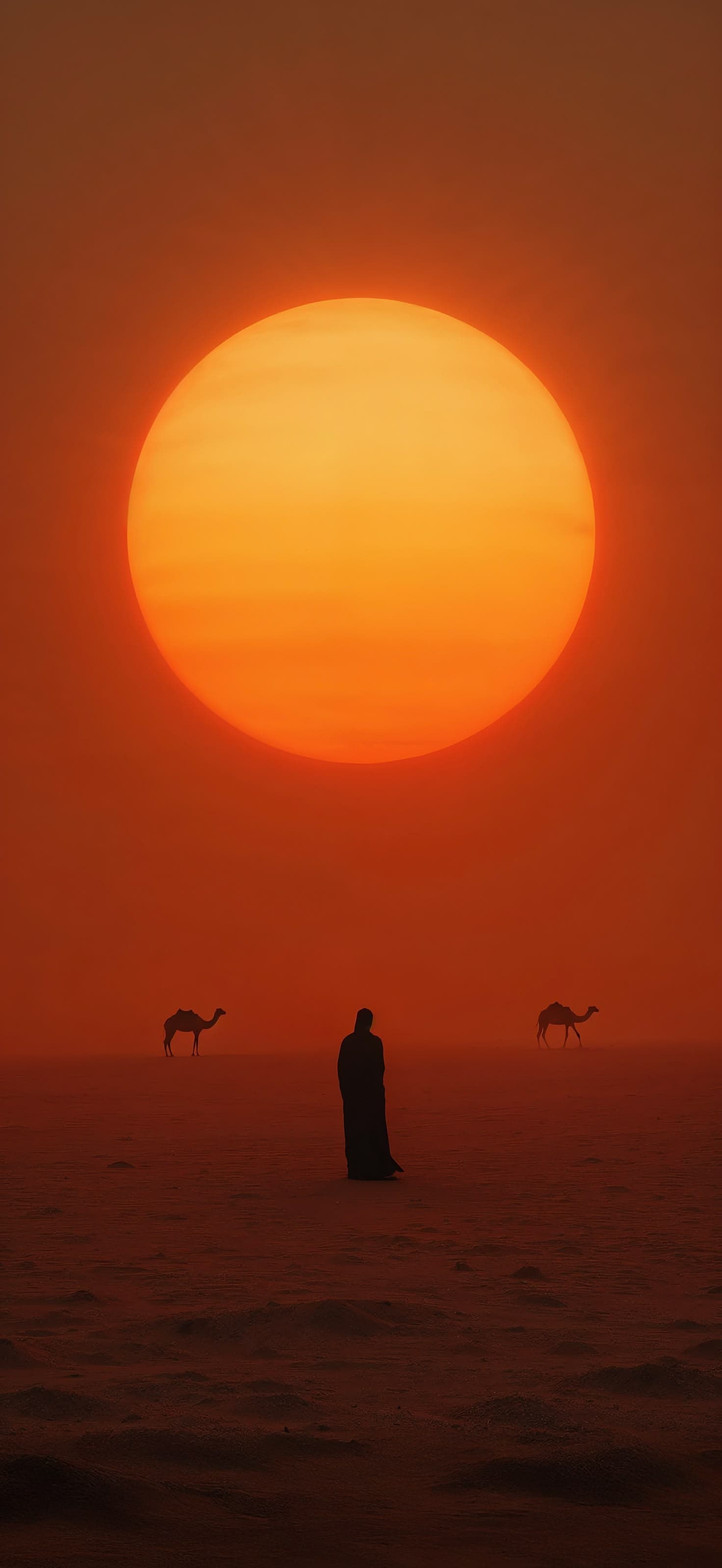 Silhoutte against Desert at Sunset hours 2 - Pro phone wallpaper