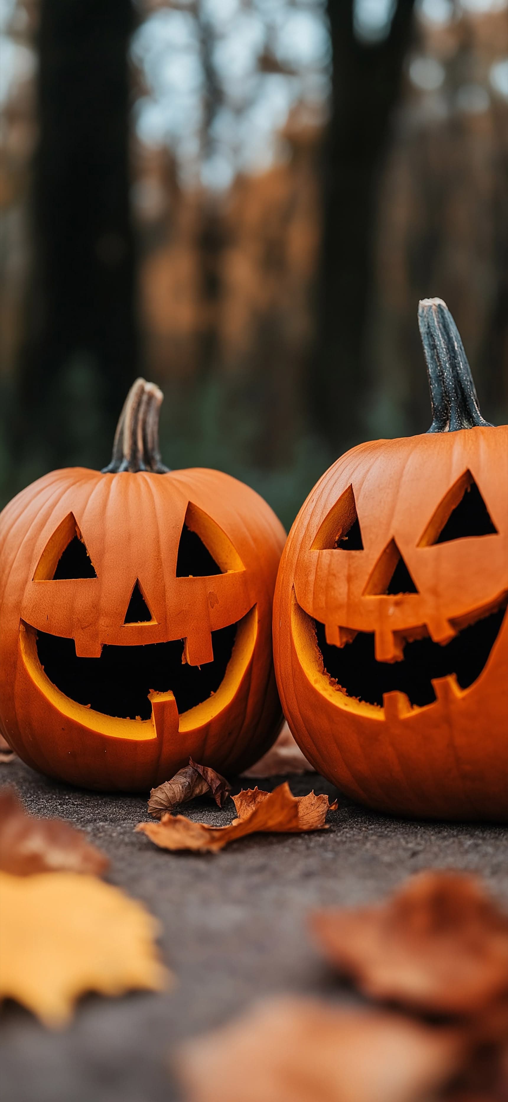 Forest Pumpkins - Pro phone wallpaper