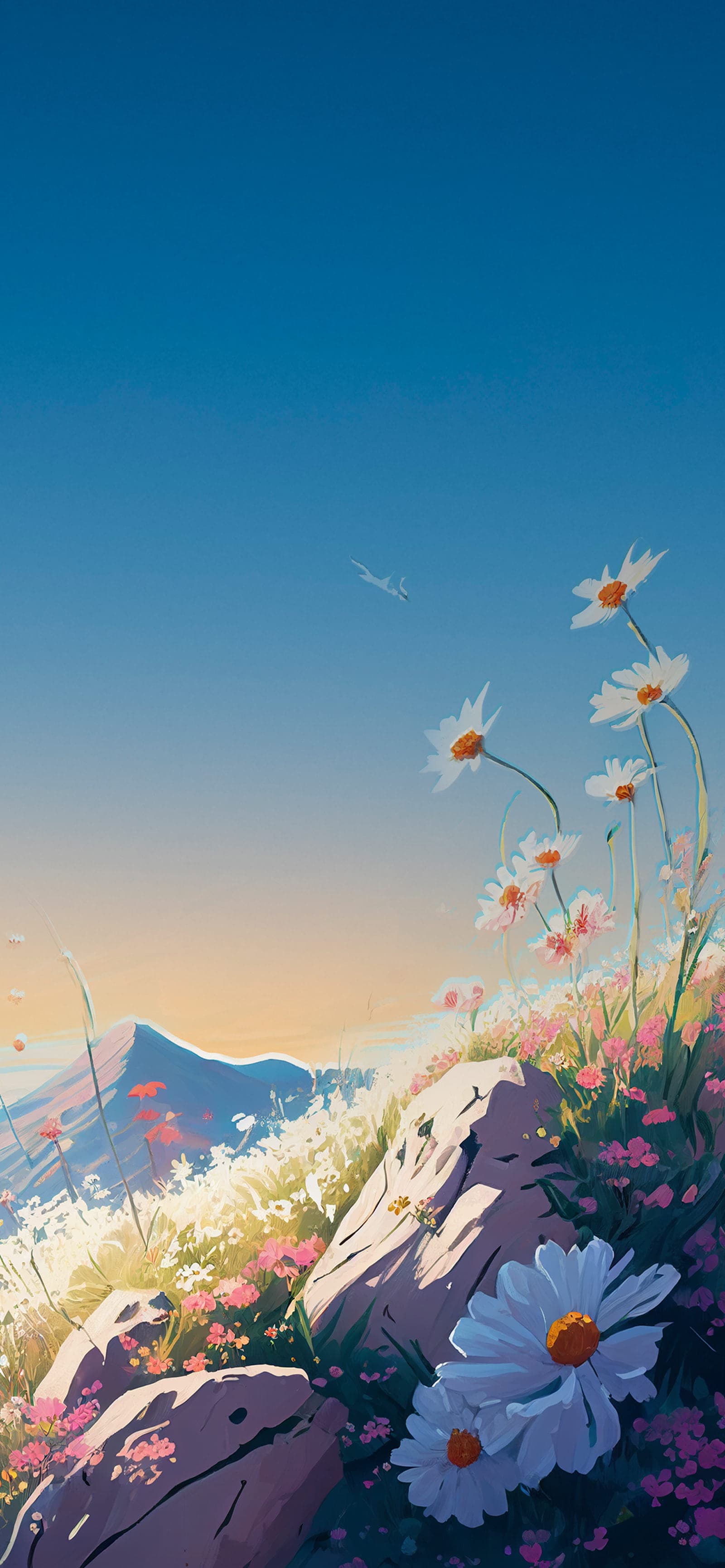 Daisy Field Vista - Pro phone wallpaper
