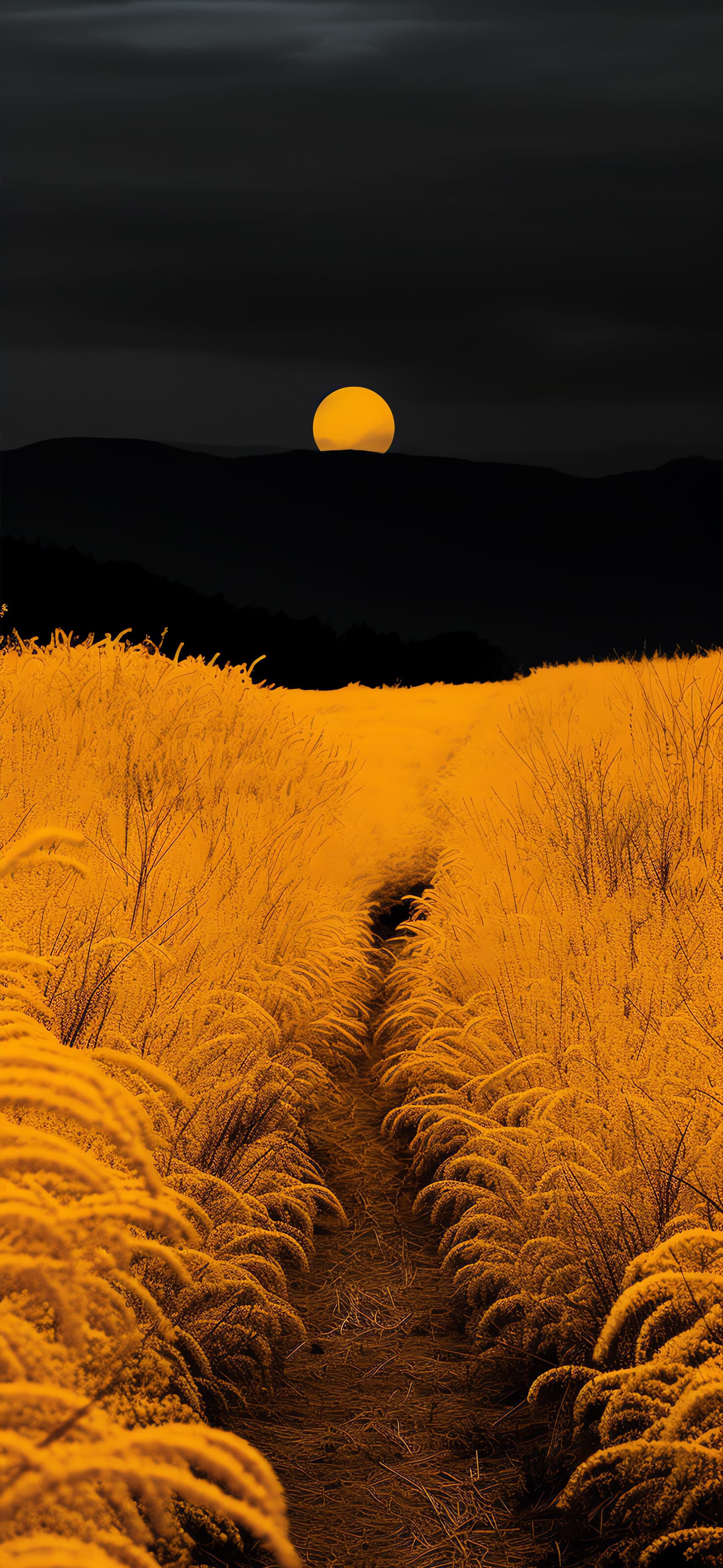 Golden Field - Pro phone wallpaper