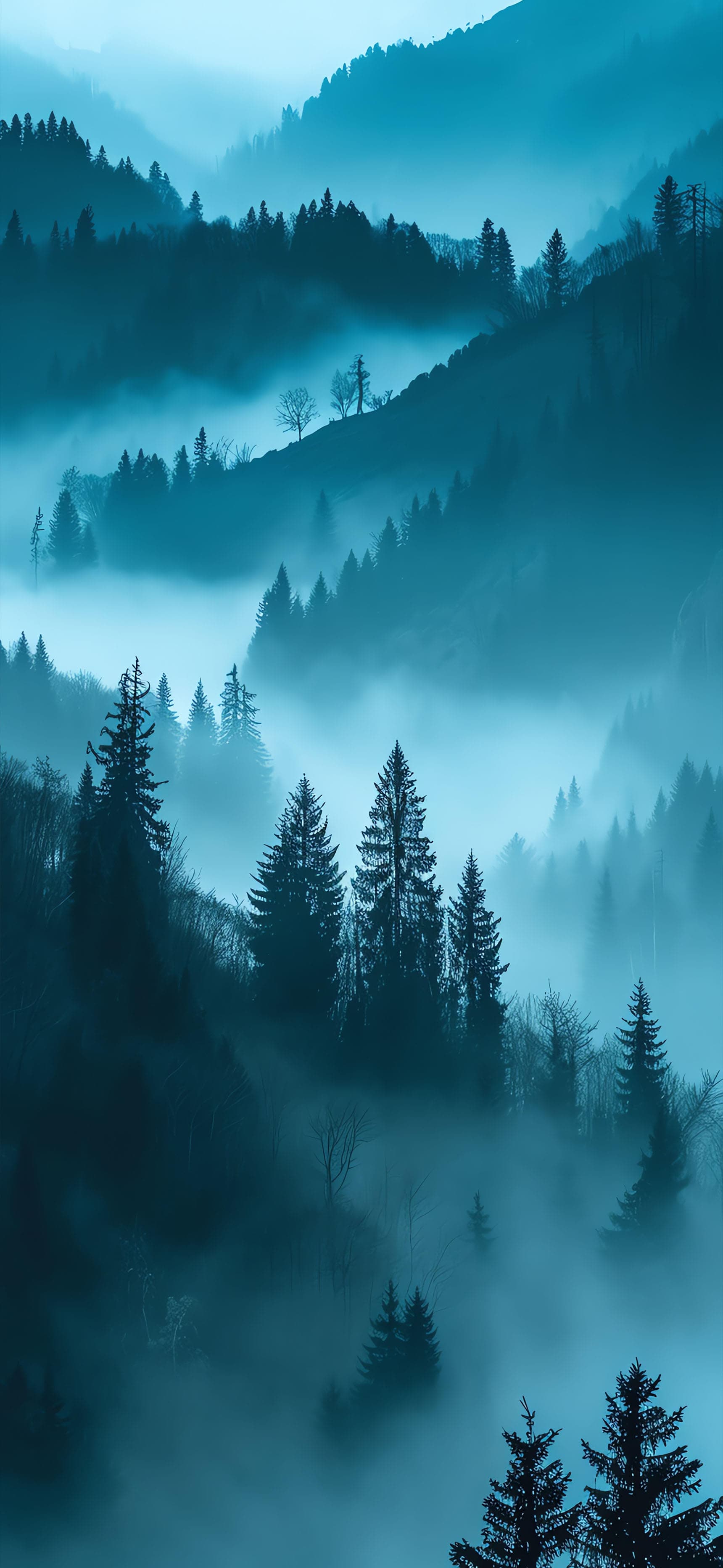Misty Mountain Forest - Pro phone wallpaper
