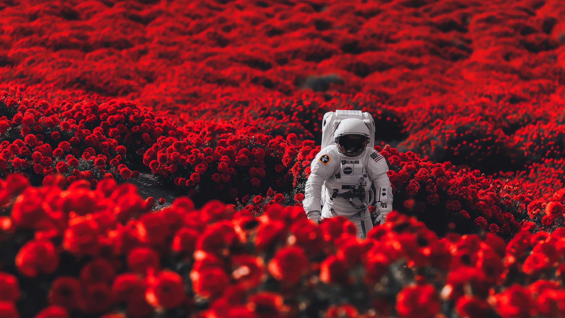 Astronaut in Flowers - Pro desktop wallpaper