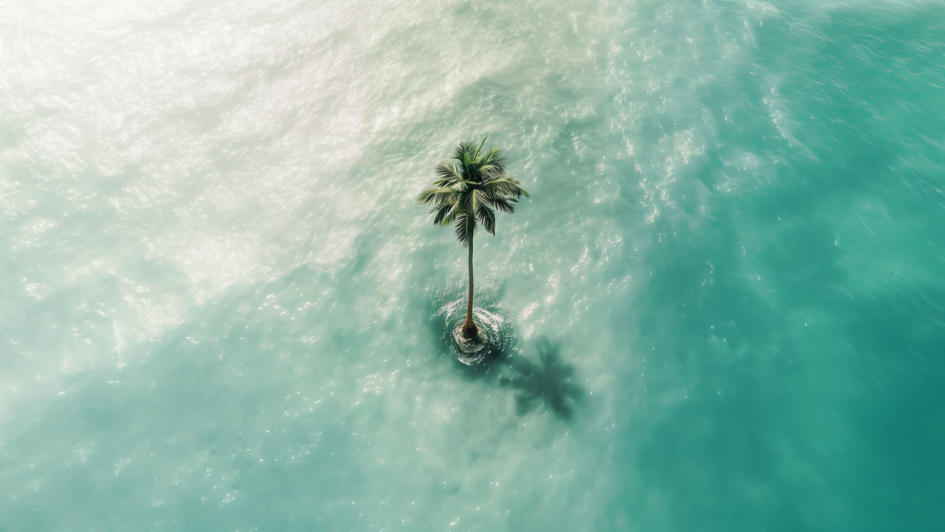 Lonely Island - Pro desktop wallpaper