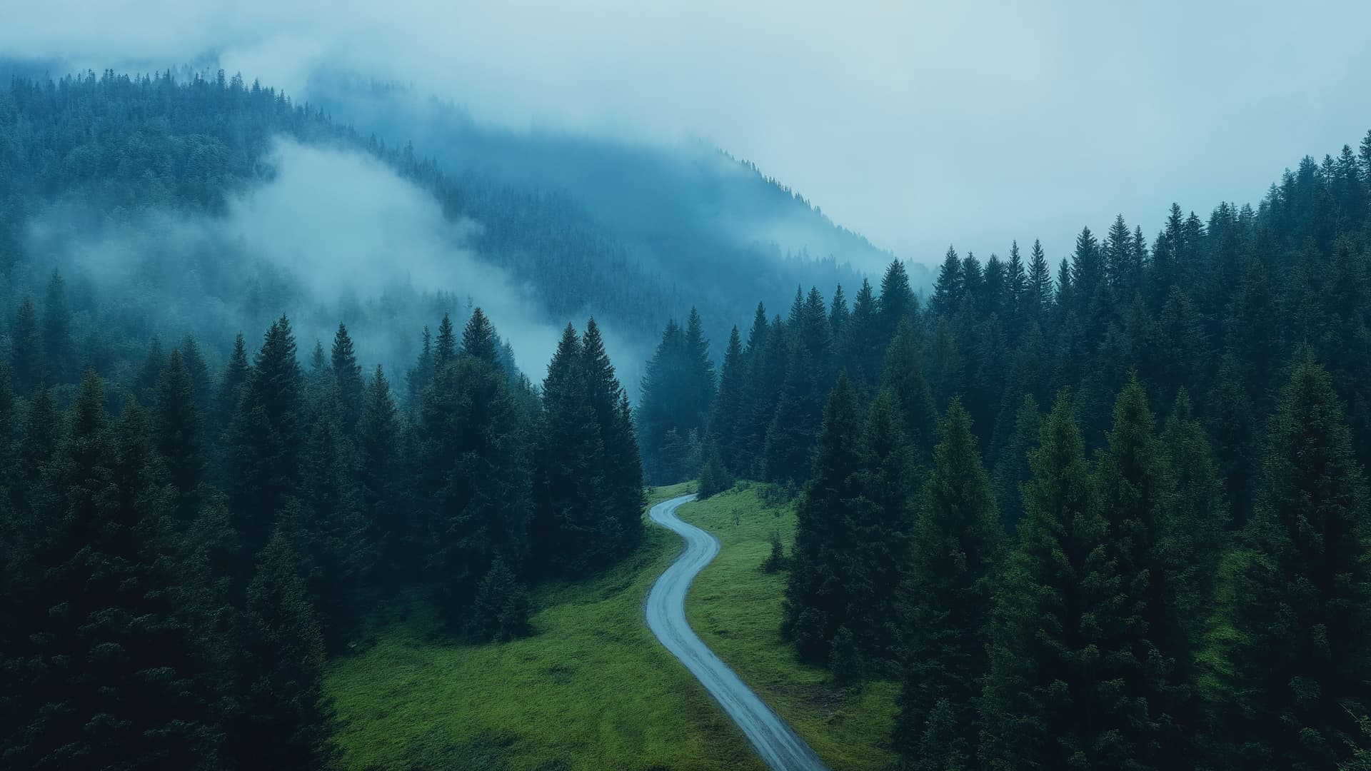Misty Forest Road - Pro desktop wallpaper