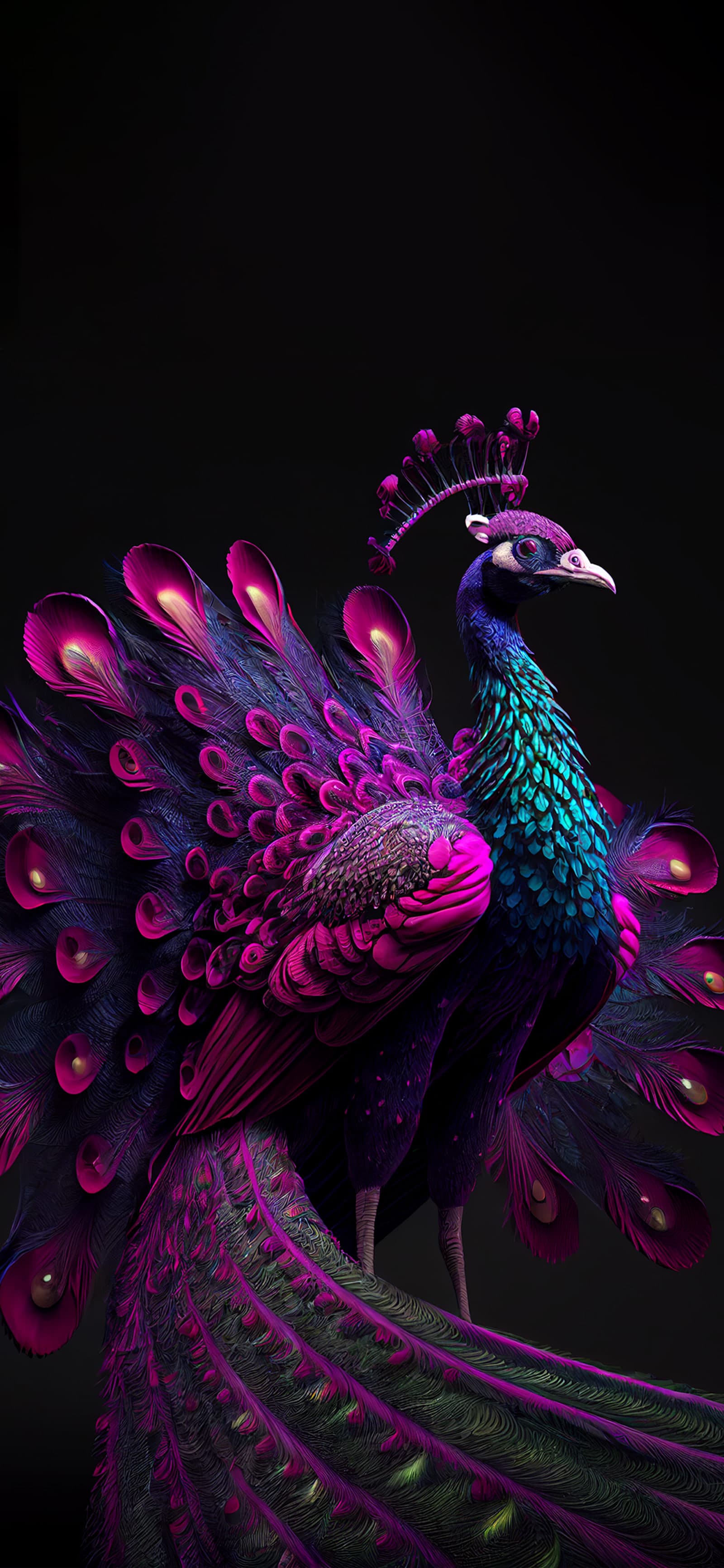 Majestic Peacock Display - Pro phone wallpaper