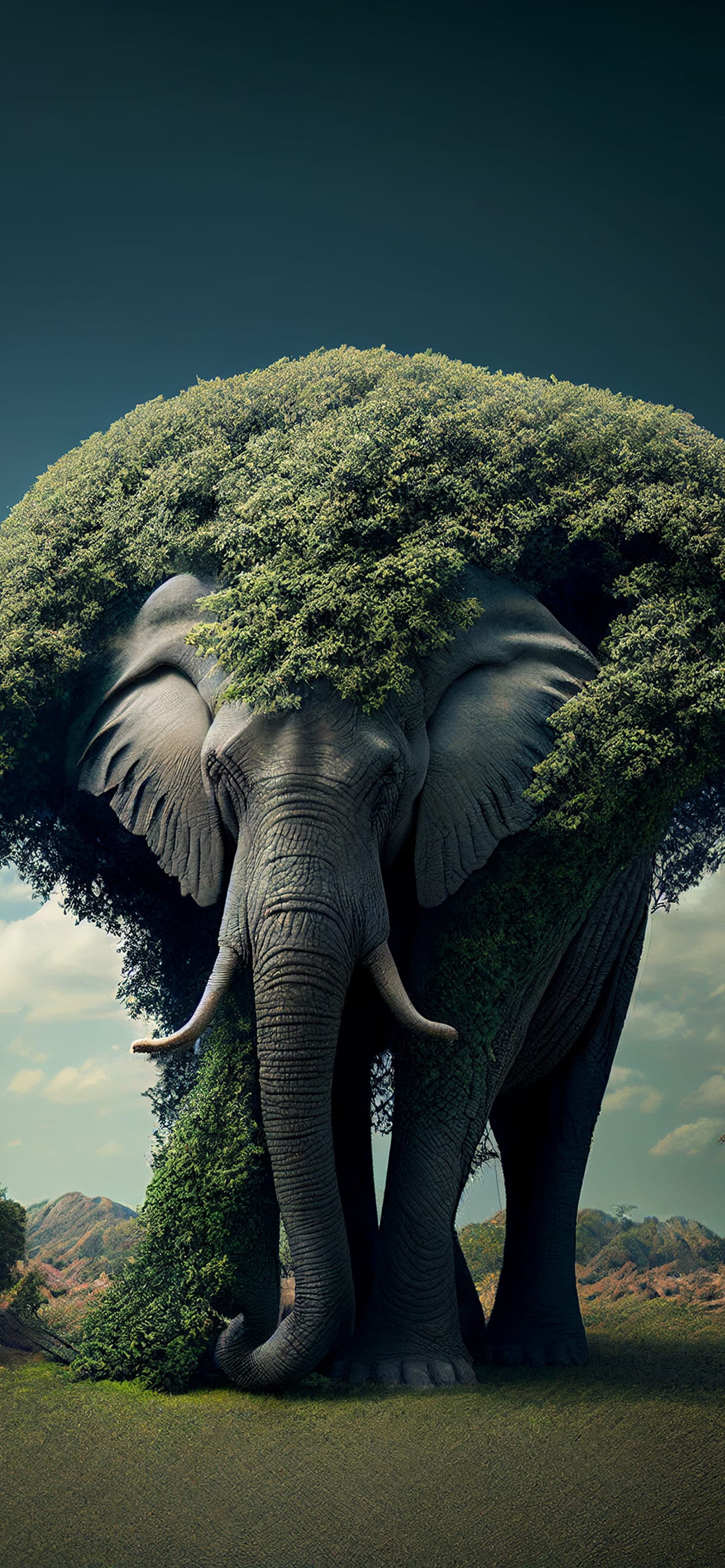 Elephant Tree Fusion - Pro phone wallpaper
