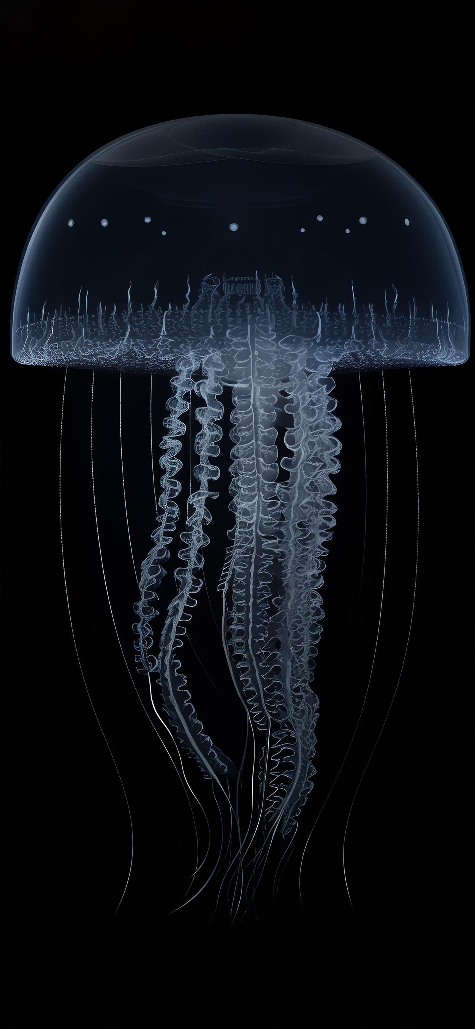 Deep Sea Jelly - Pro phone wallpaper