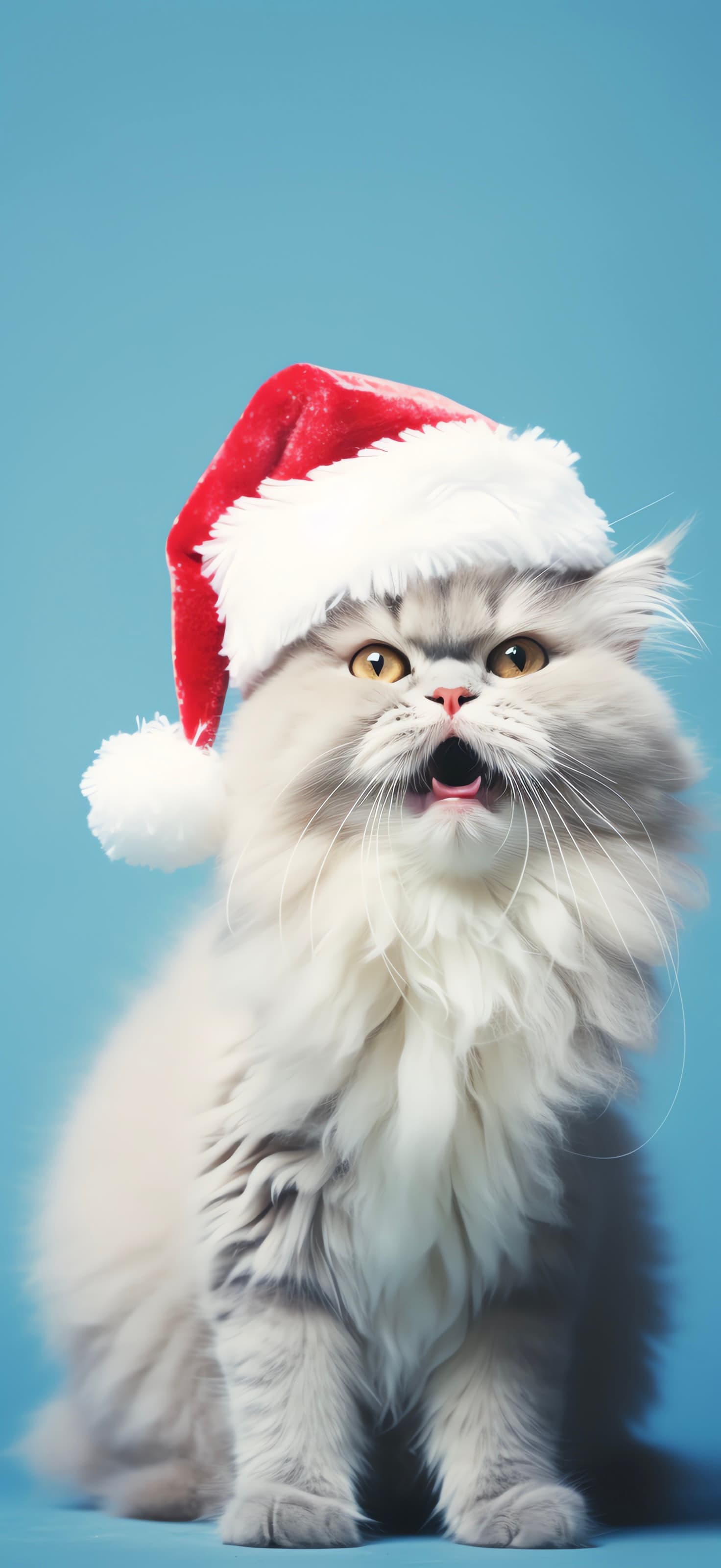 Grumpy Santa Cat - Pro phone wallpaper