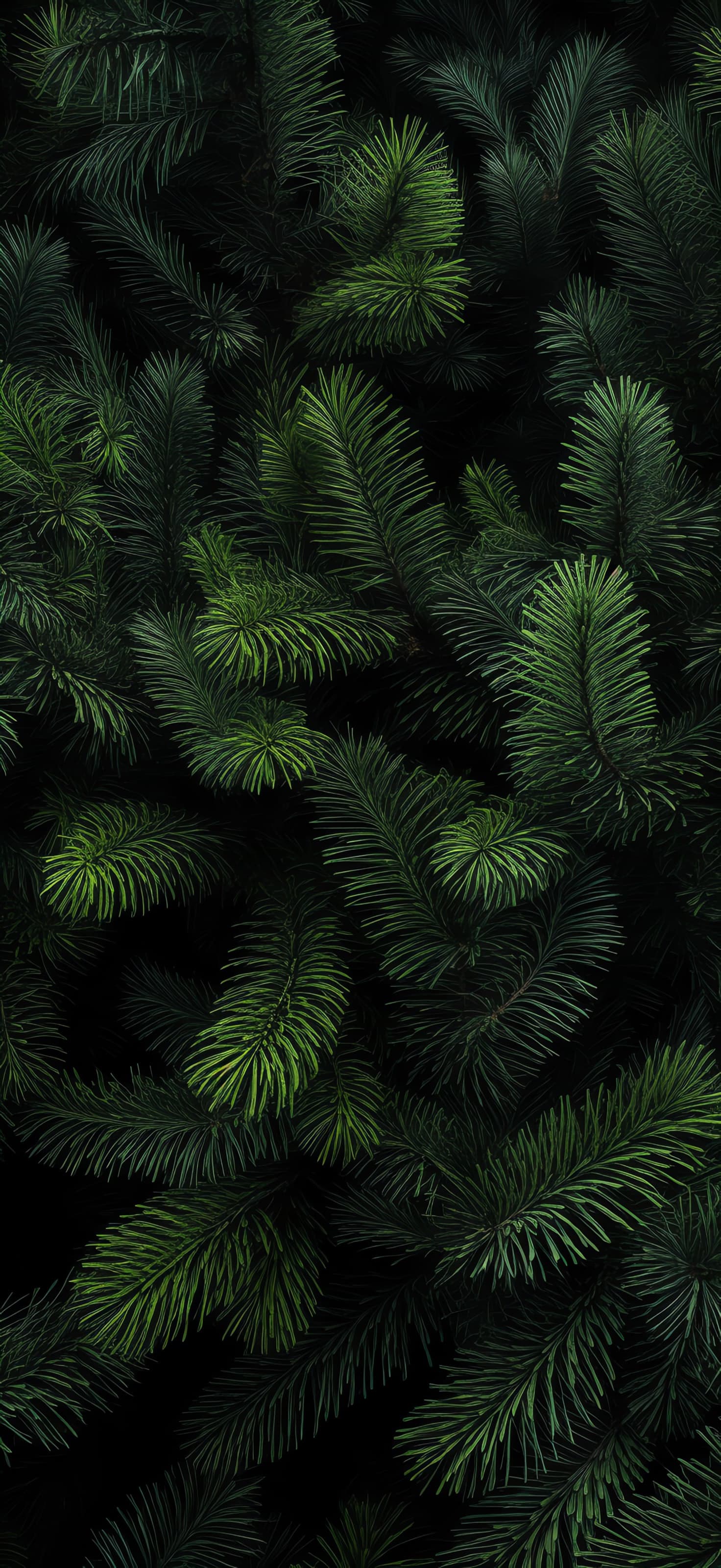 Evergreen Forest Depth - Pro phone wallpaper