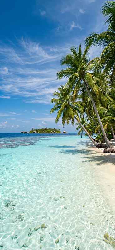 Tropical Island Paradise - free phone wallpaper download