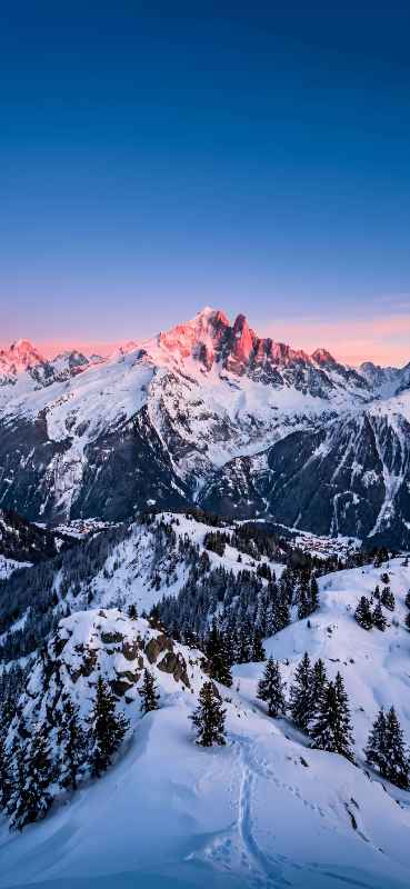 Alpine Winter Glow - Pro phone wallpaper download