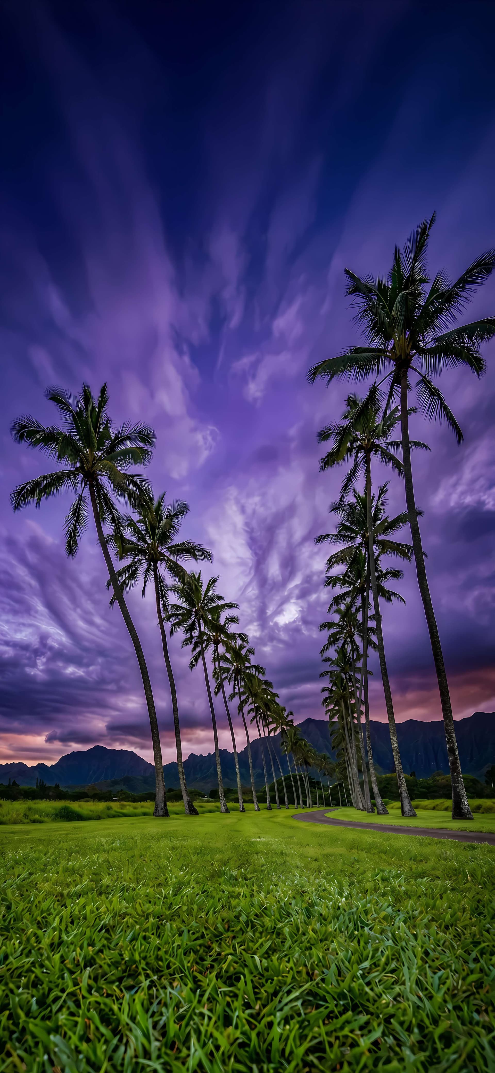 Tropical Purple Sky - Pro phone wallpaper